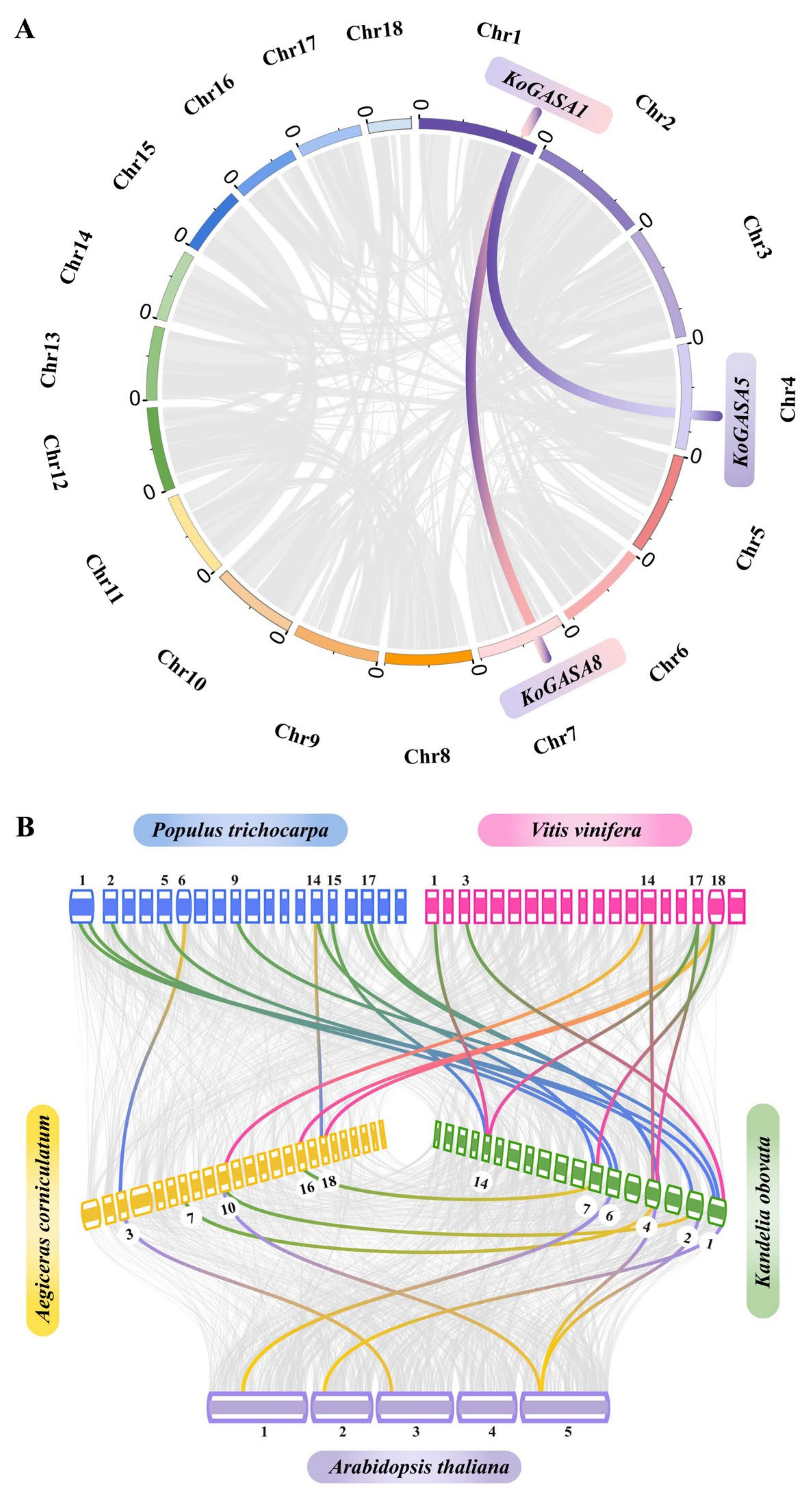Genes 14 00923 g004 Genes 14 00923 g004