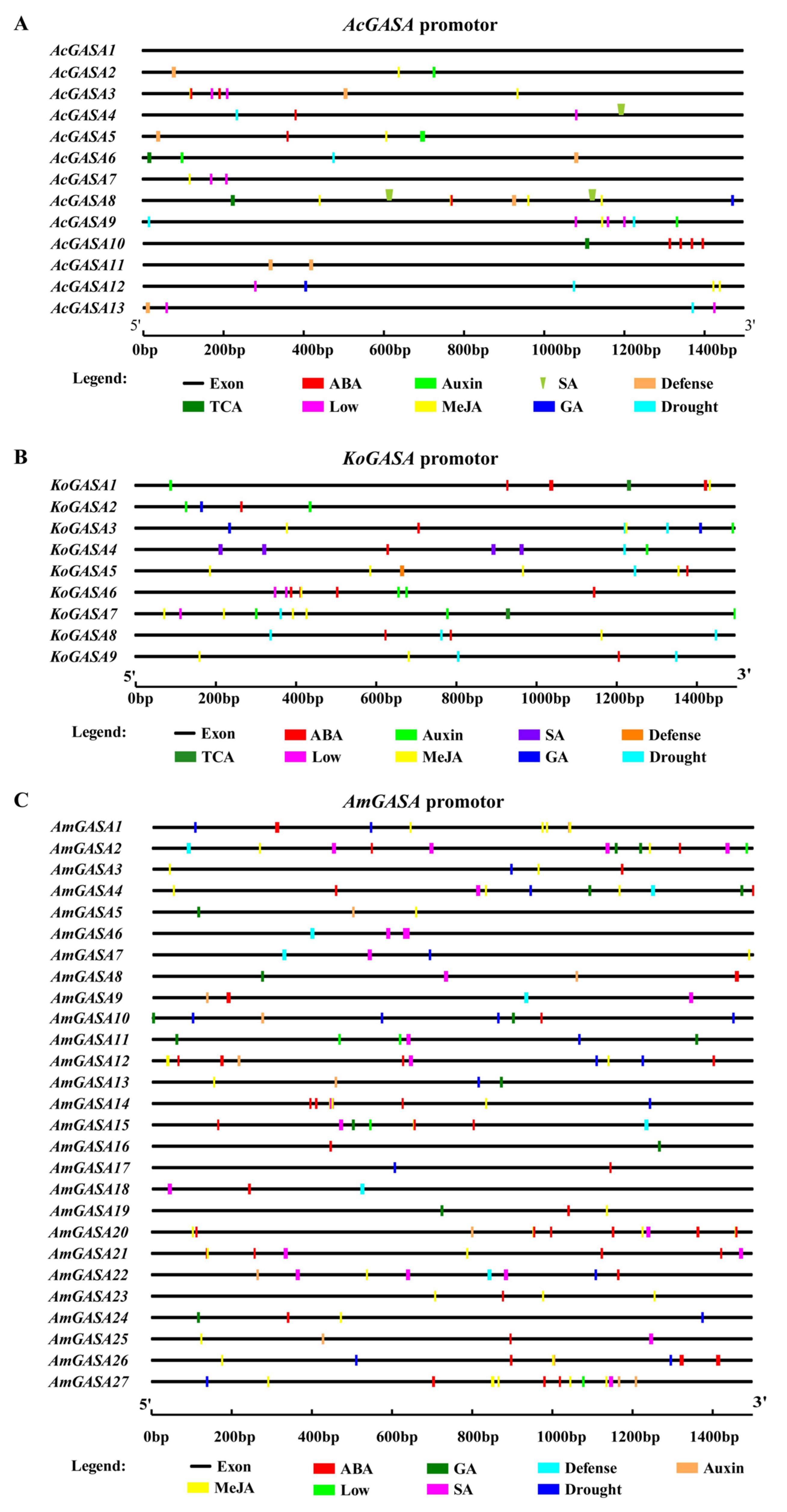 Genes 14 00923 g006 Genes 14 00923 g006