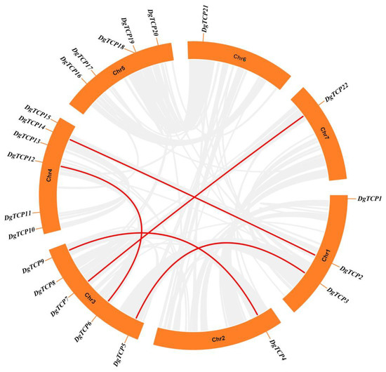 Genome-Wide Identification, Characterization, and Expression of