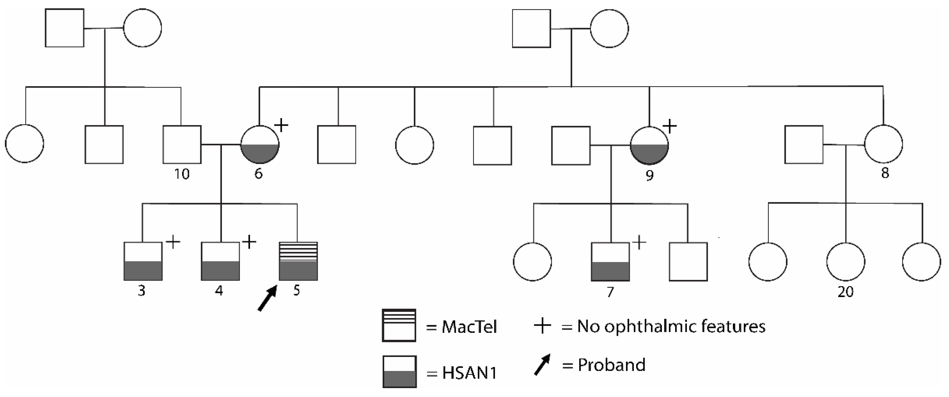 Genes 14 00931 g003 Genes 14 00931 g003