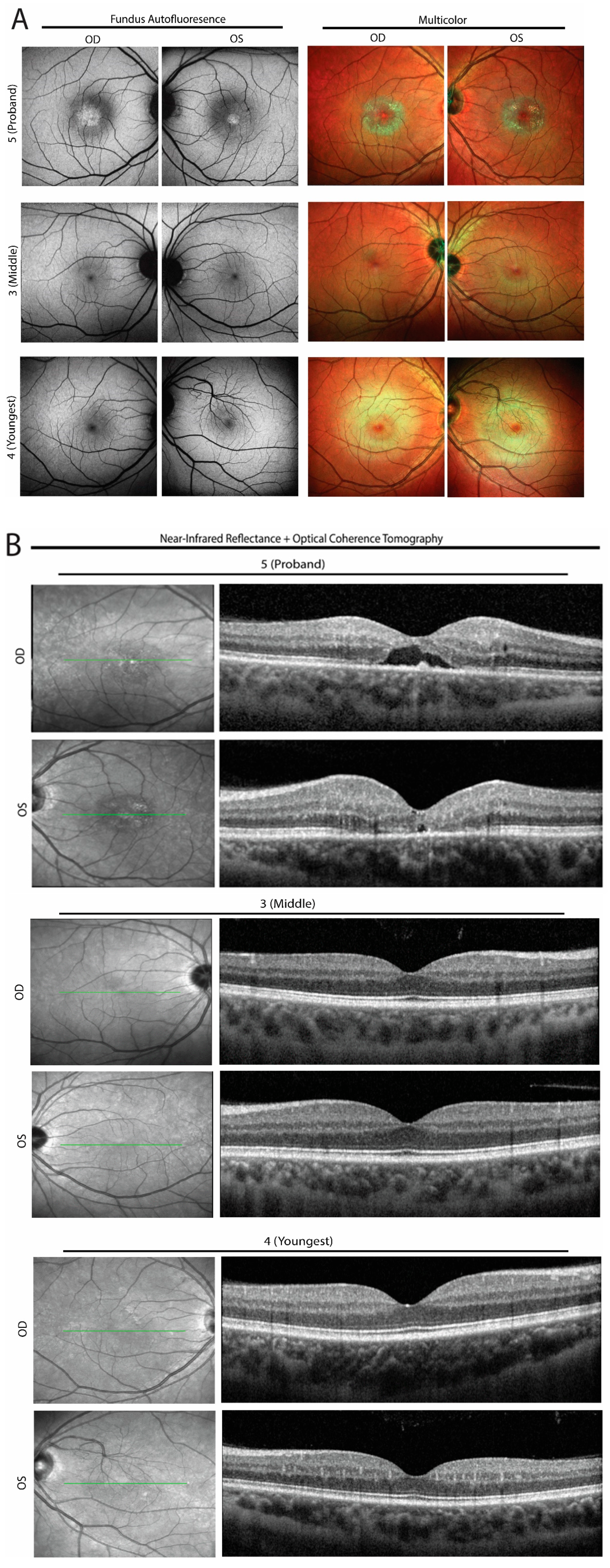 Genes 14 00931 g004 Genes 14 00931 g004
