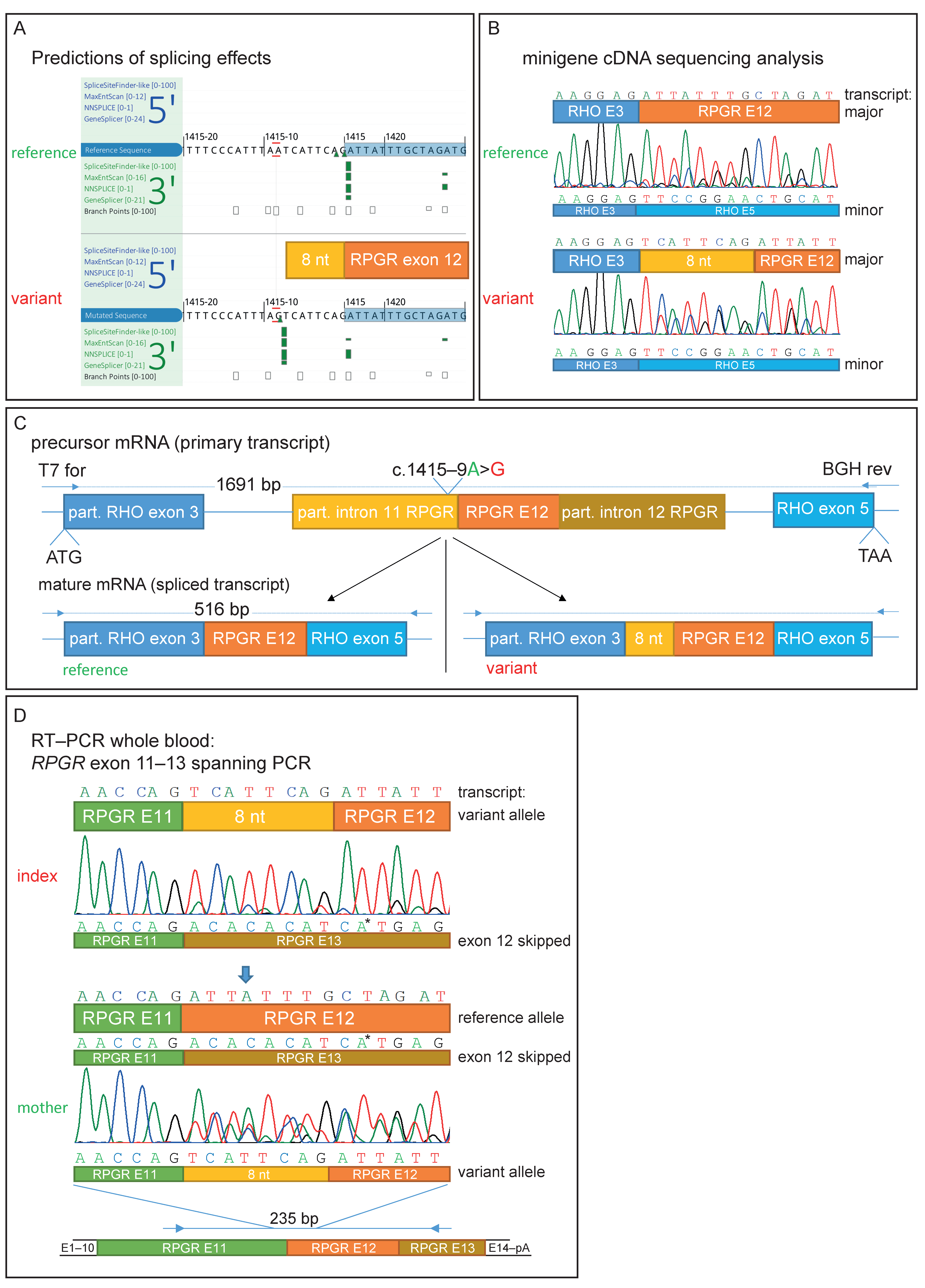 Genes 14 00934 g002 Genes 14 00934 g002