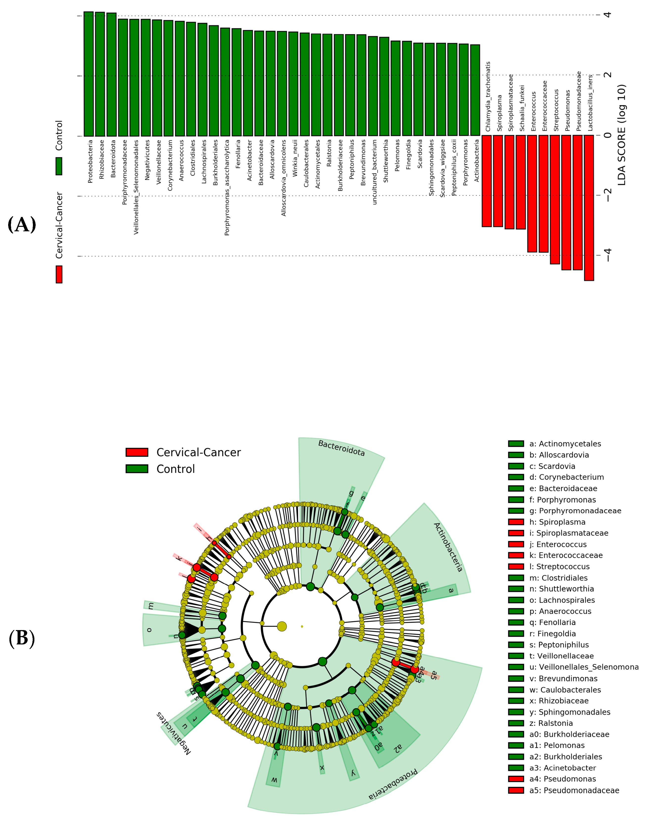Genes 14 00936 g008 Genes 14 00936 g008