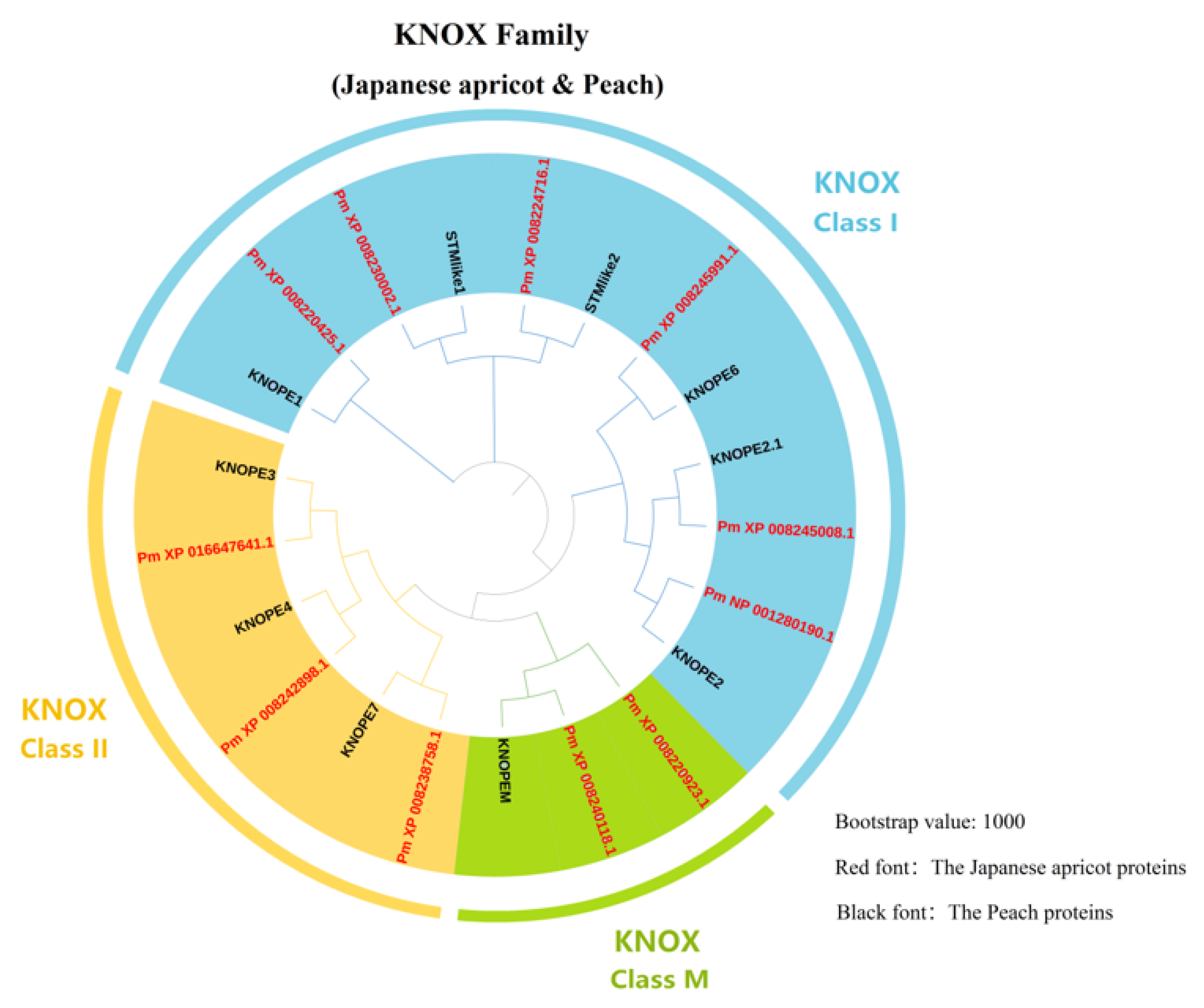 Genes 14 00939 g001 Genes 14 00939 g001