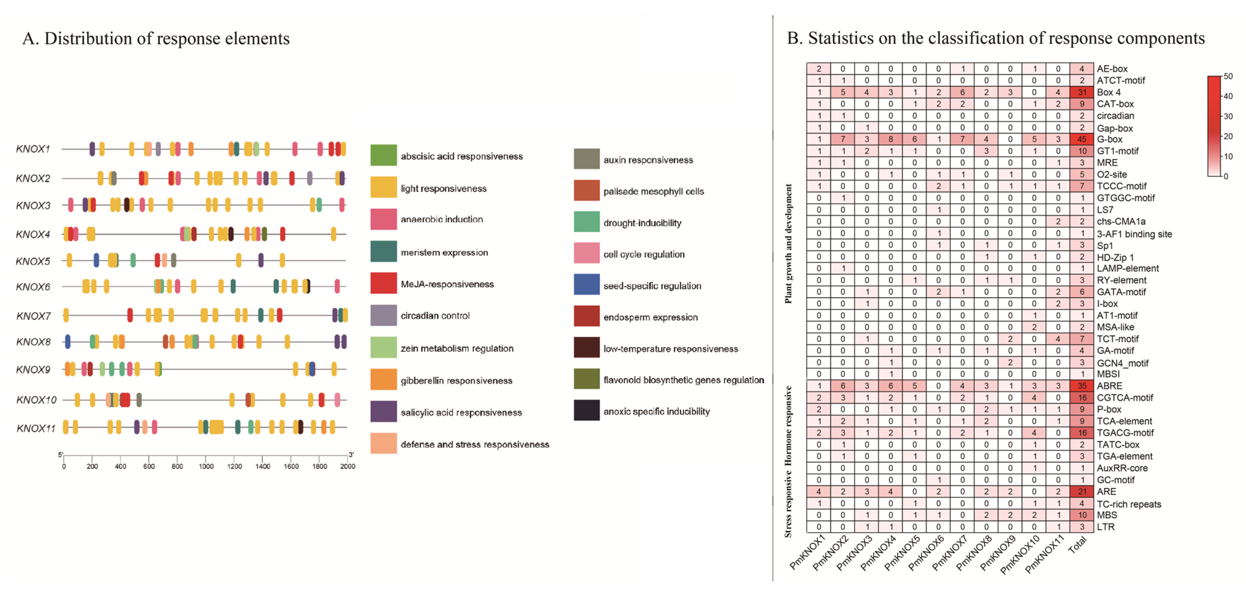 Genes 14 00939 g004 Genes 14 00939 g004
