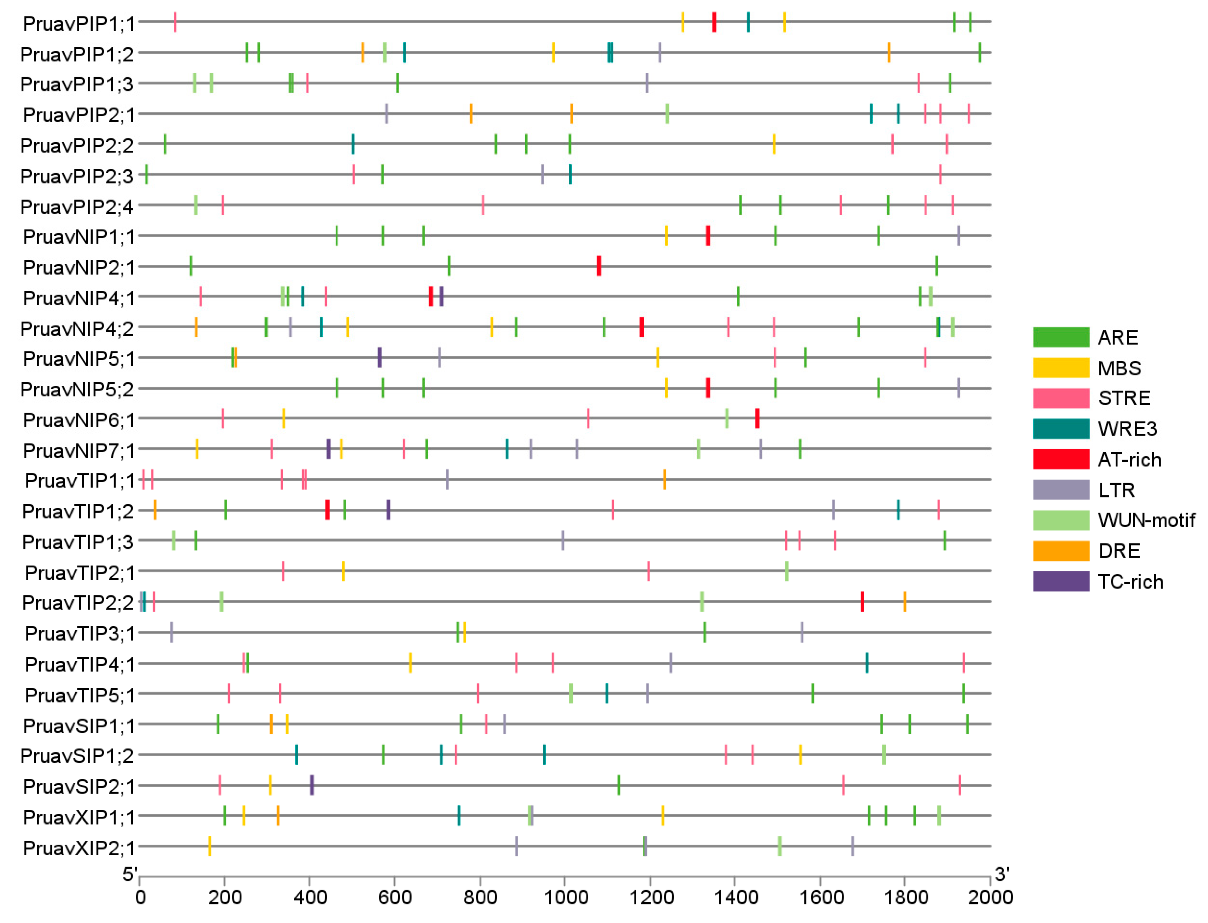 Genes 14 00940 g003 Genes 14 00940 g003