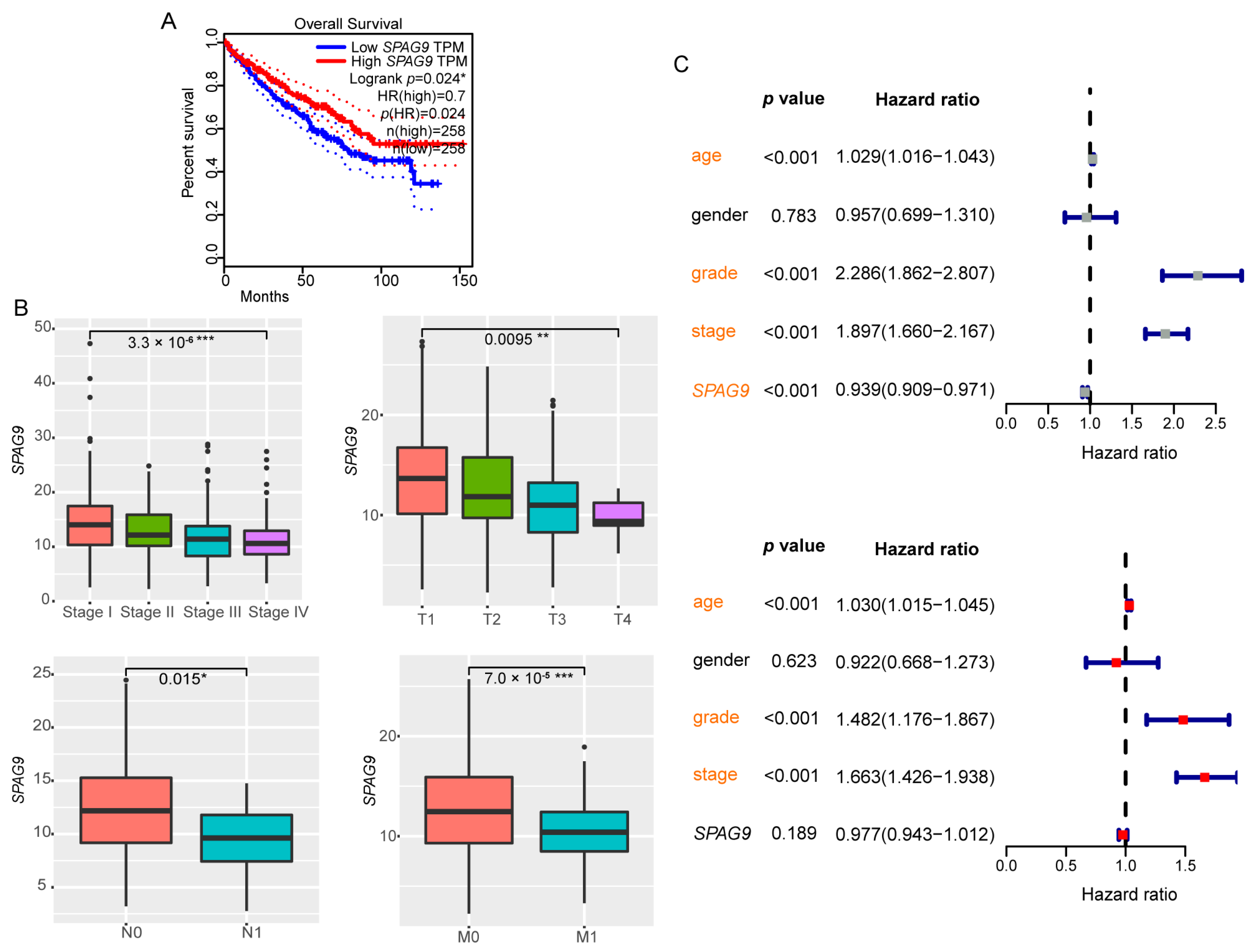 Genes 14 00944 g001