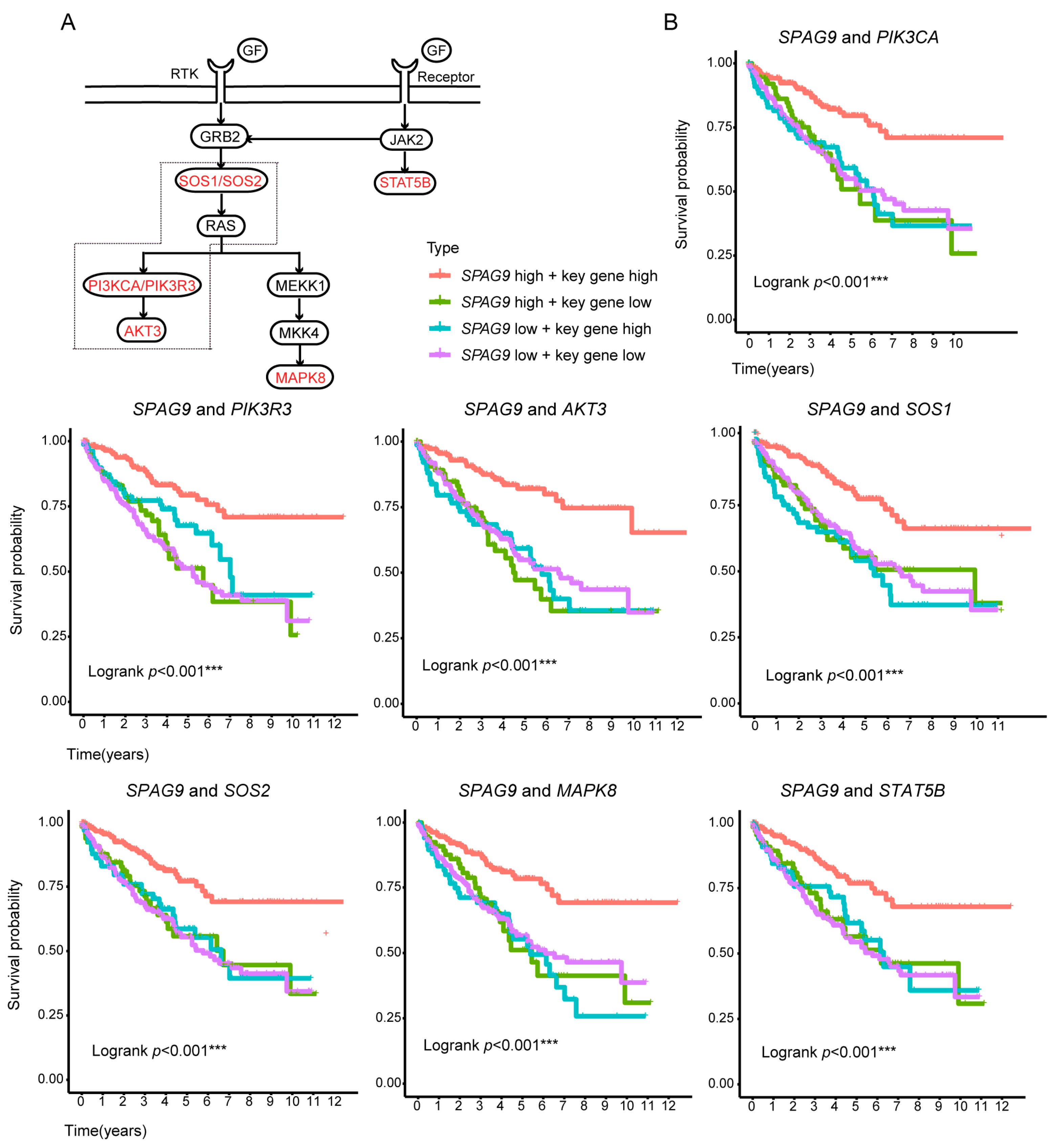 Genes 14 00944 g006