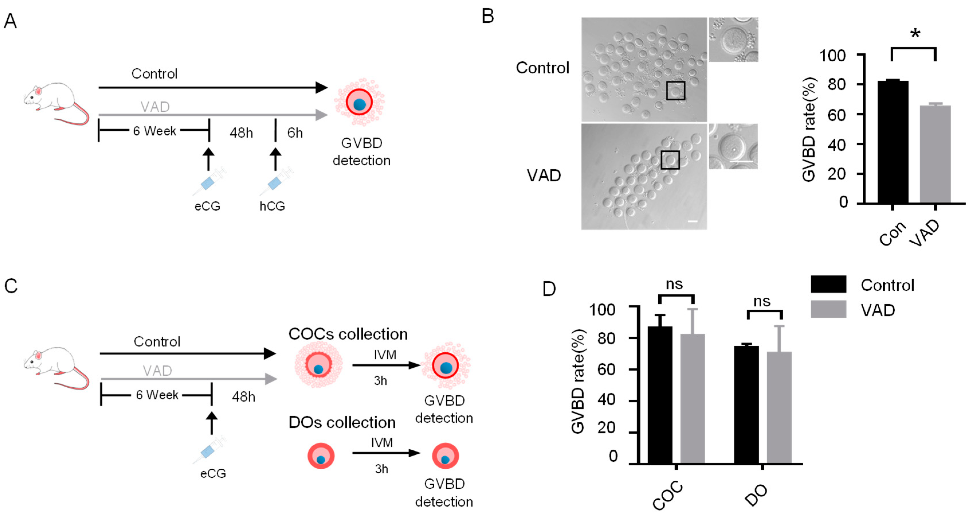 Genes 14 00946 g001 Genes 14 00946 g001