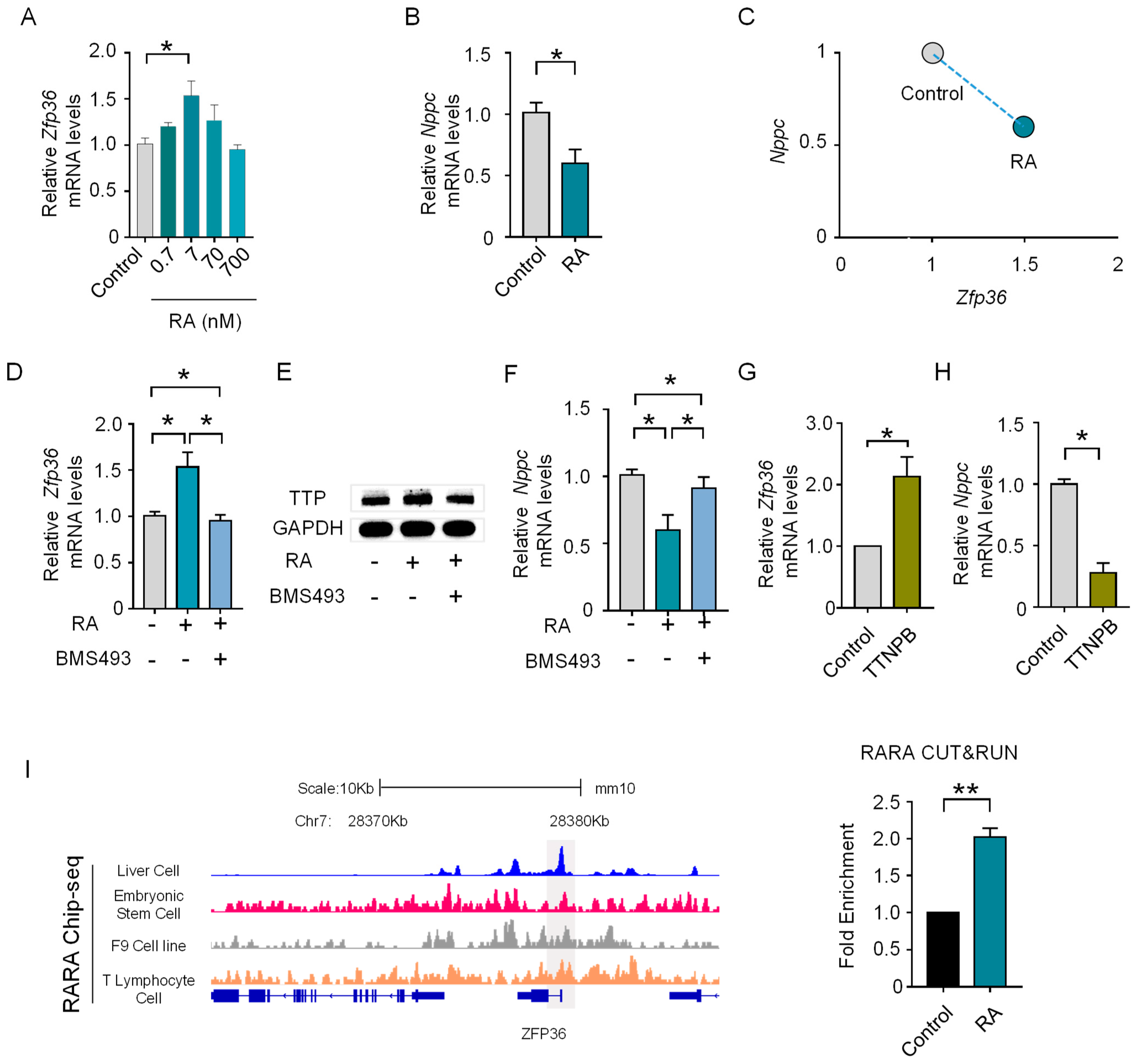 Genes 14 00946 g005 Genes 14 00946 g005