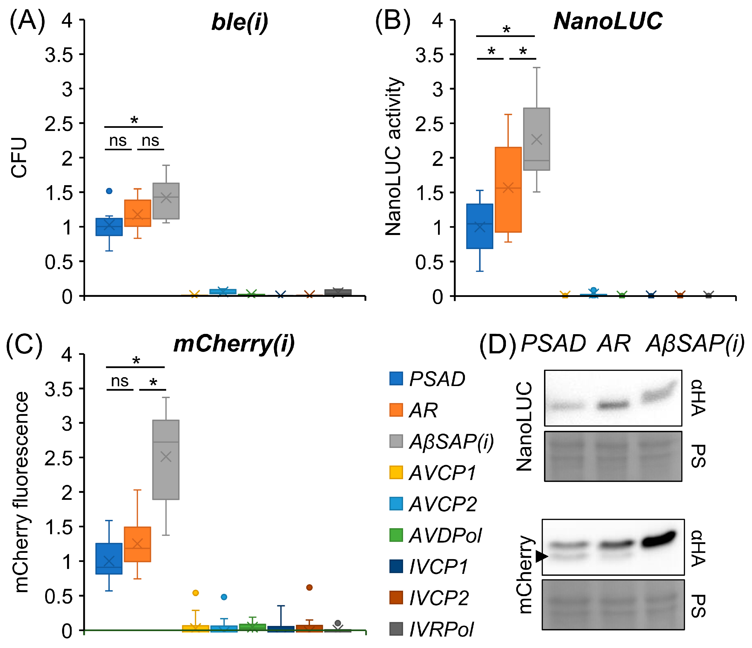 Genes 14 00948 g002