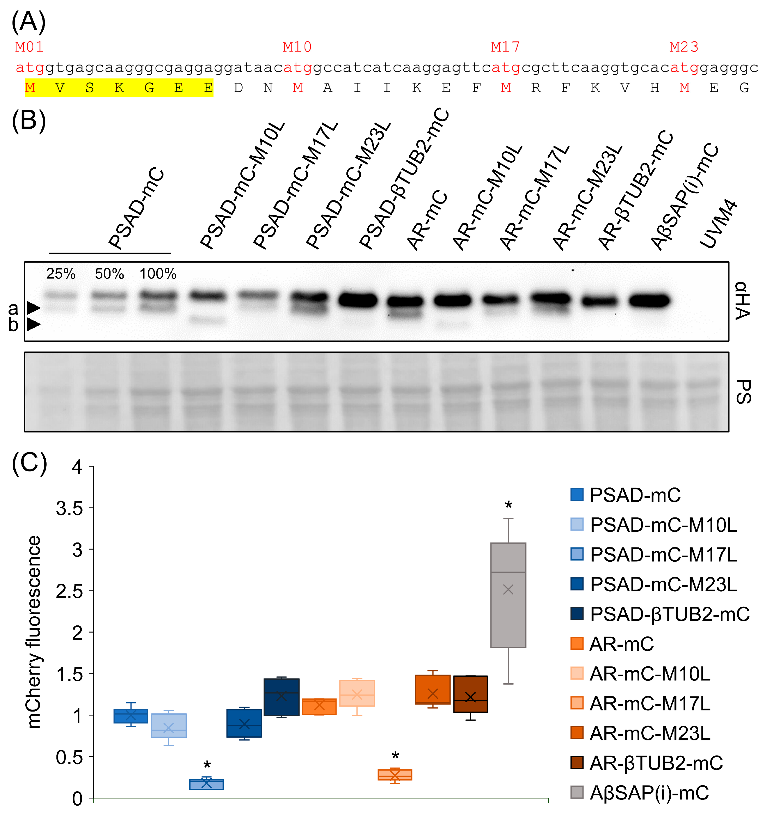 Genes 14 00948 g003