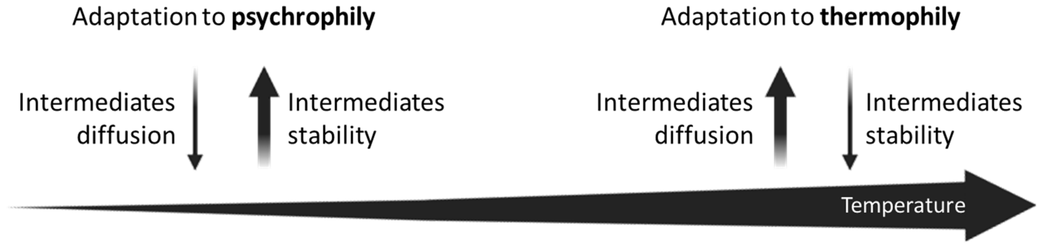 Genes 14 00949 g004 Genes 14 00949 g004