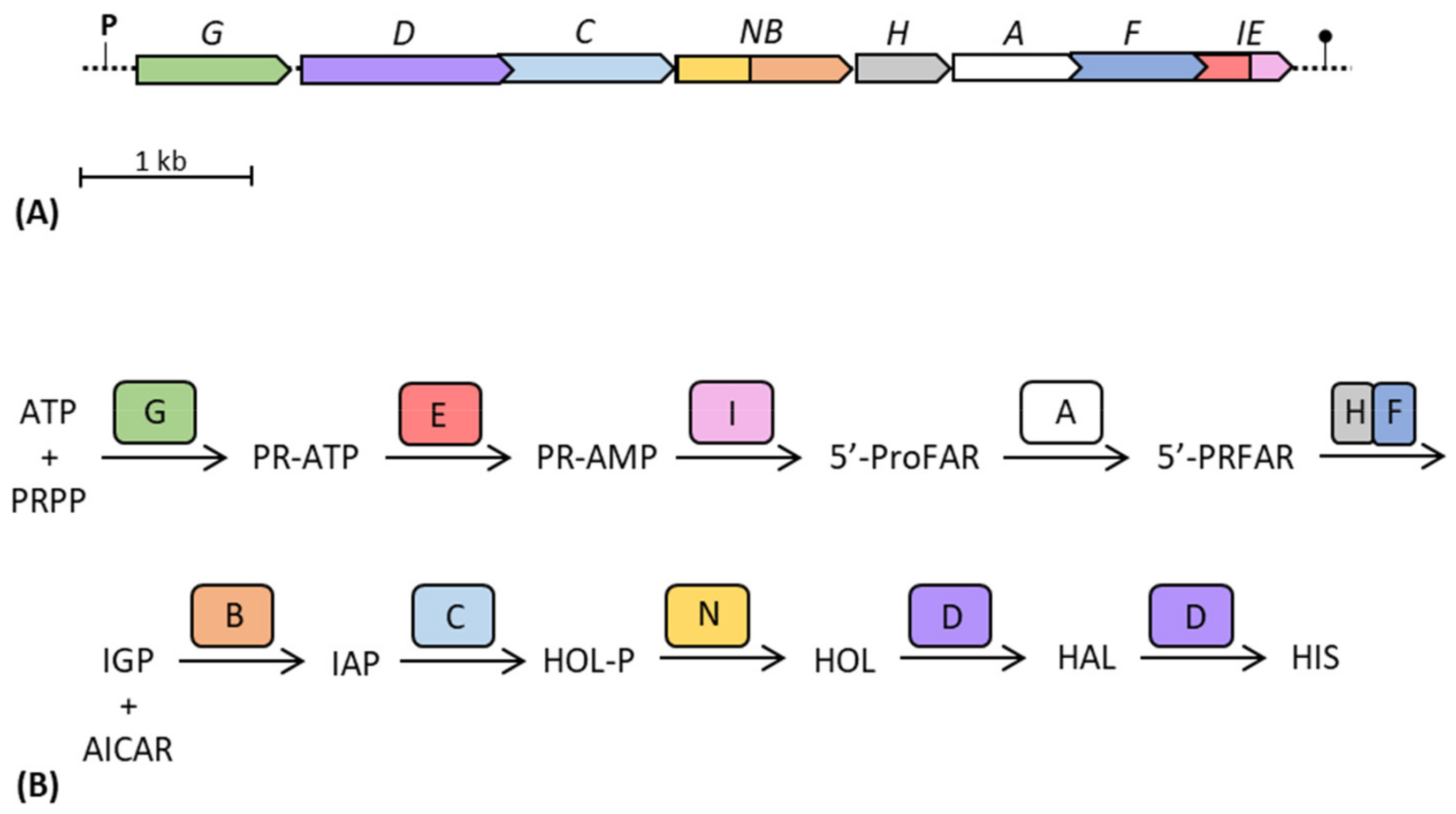 Genes 14 00949 g005 Genes 14 00949 g005