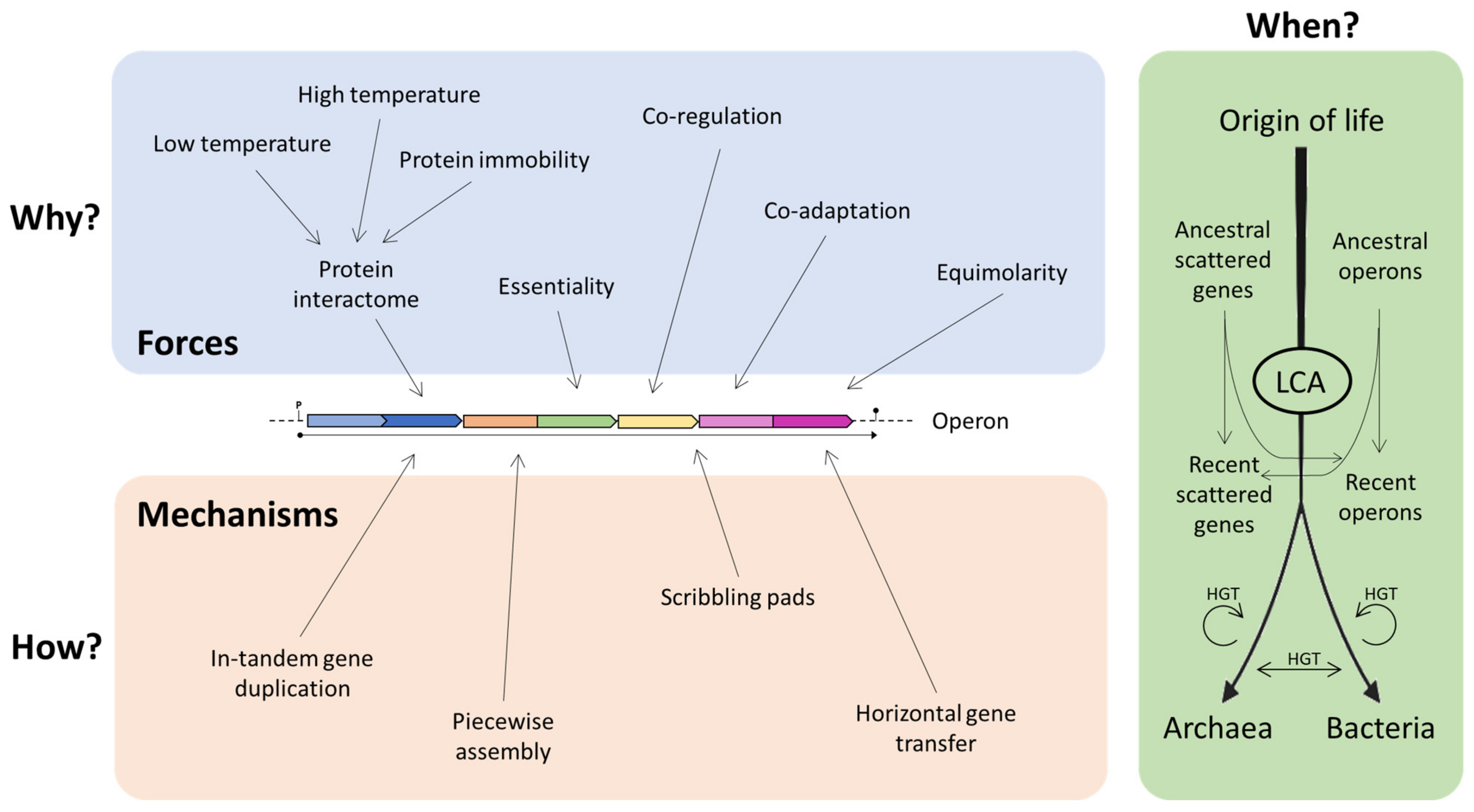 Genes 14 00949 g007 Genes 14 00949 g007
