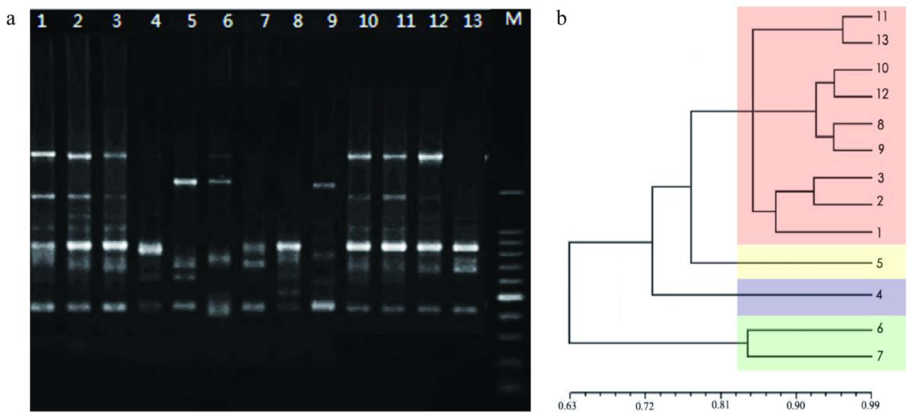 Genes 14 00951 g004 550