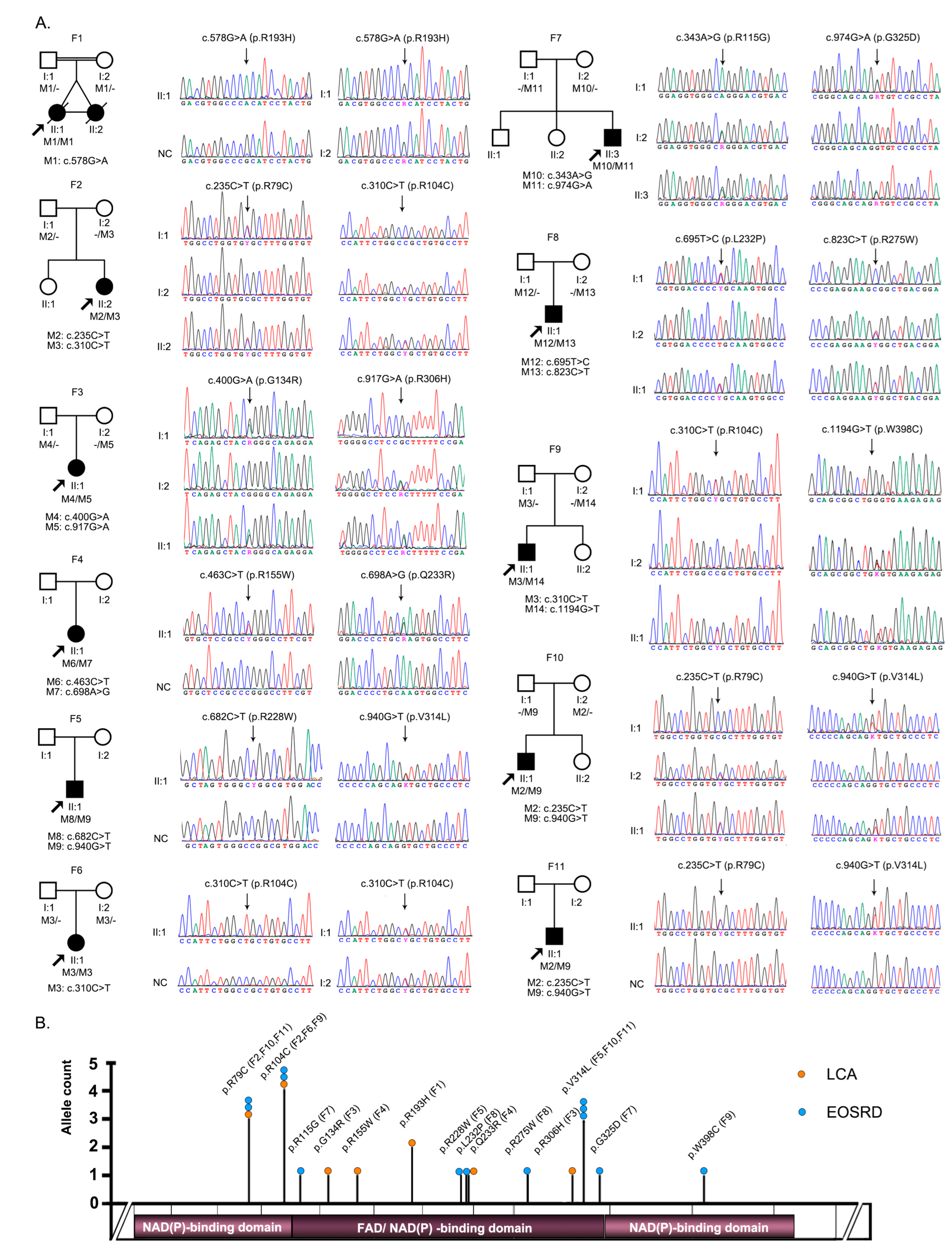 Genes 14 00952 g001 Genes 14 00952 g001