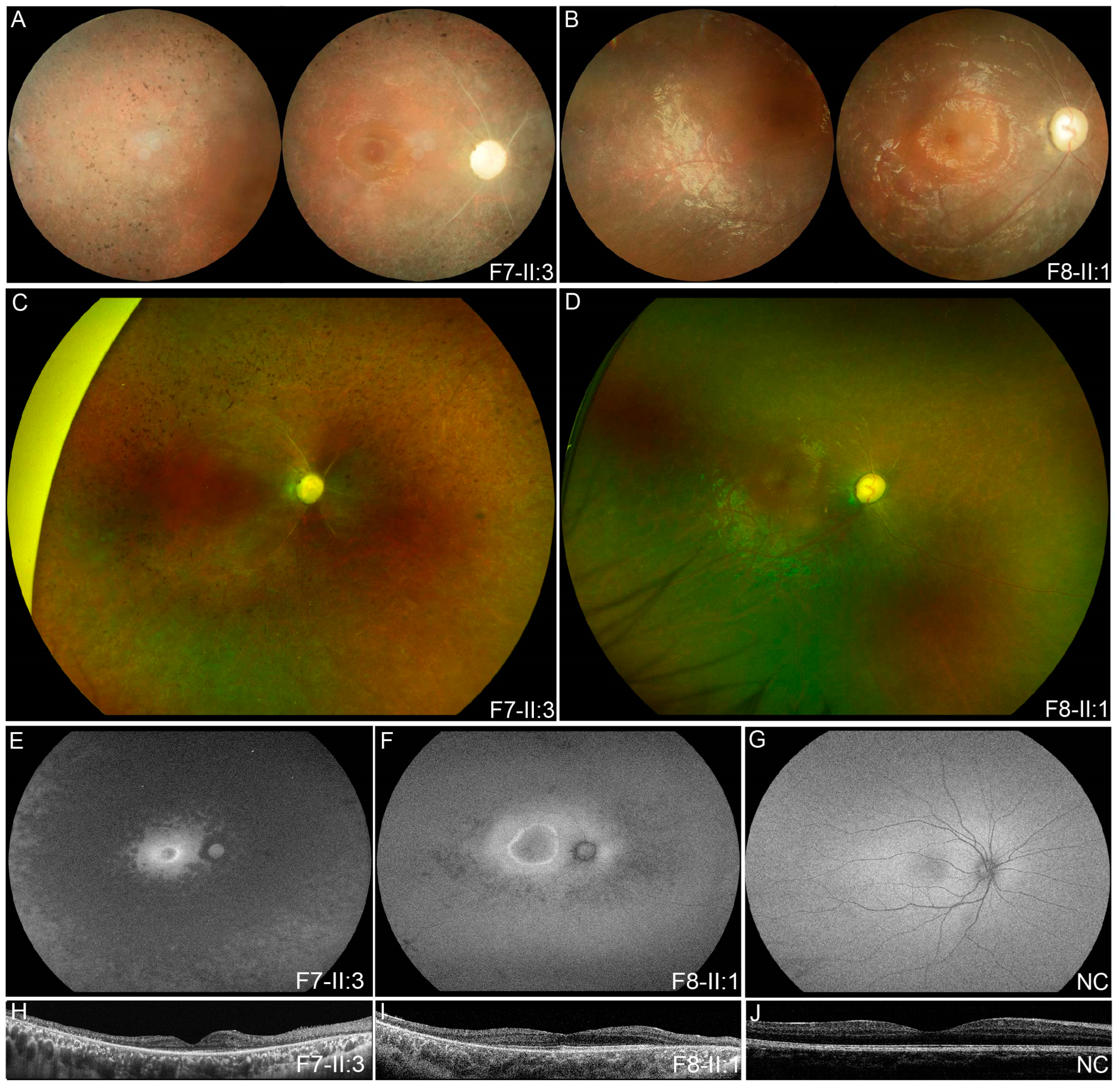 Genes 14 00952 g003 Genes 14 00952 g003