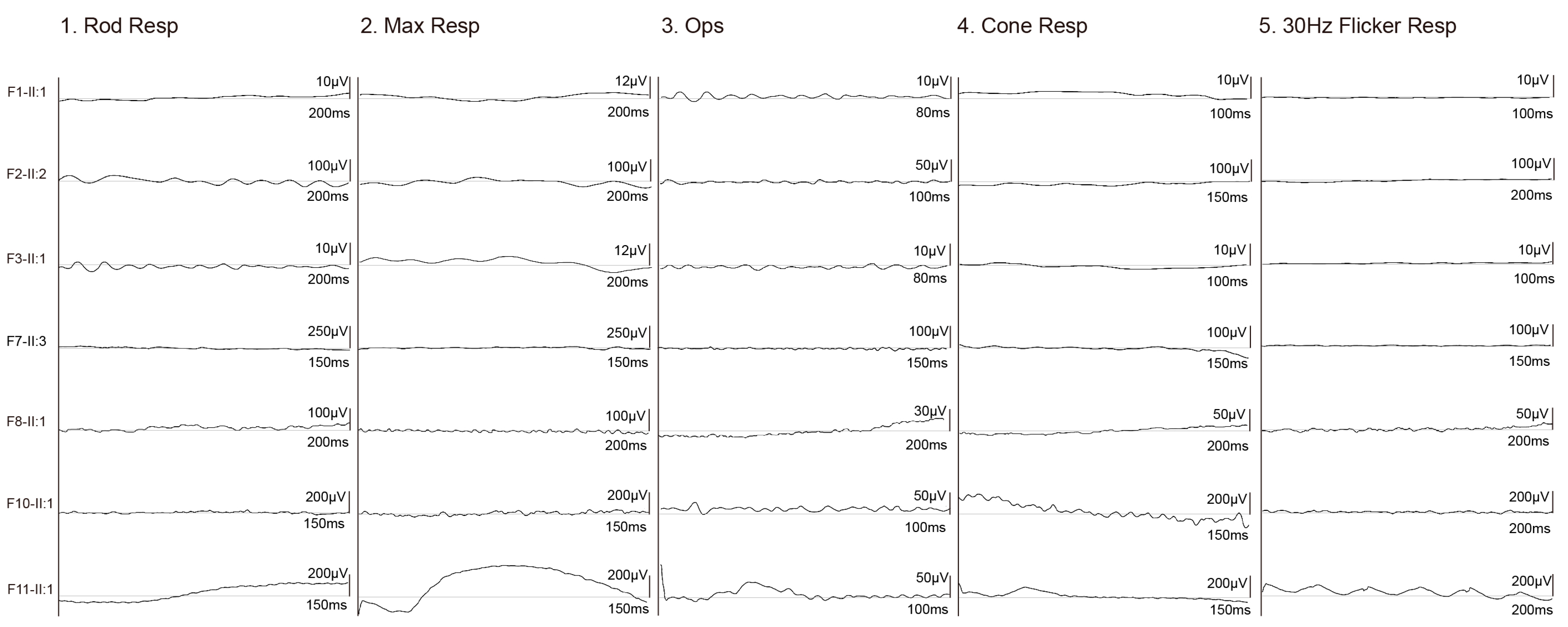 Genes 14 00952 g004 Genes 14 00952 g004