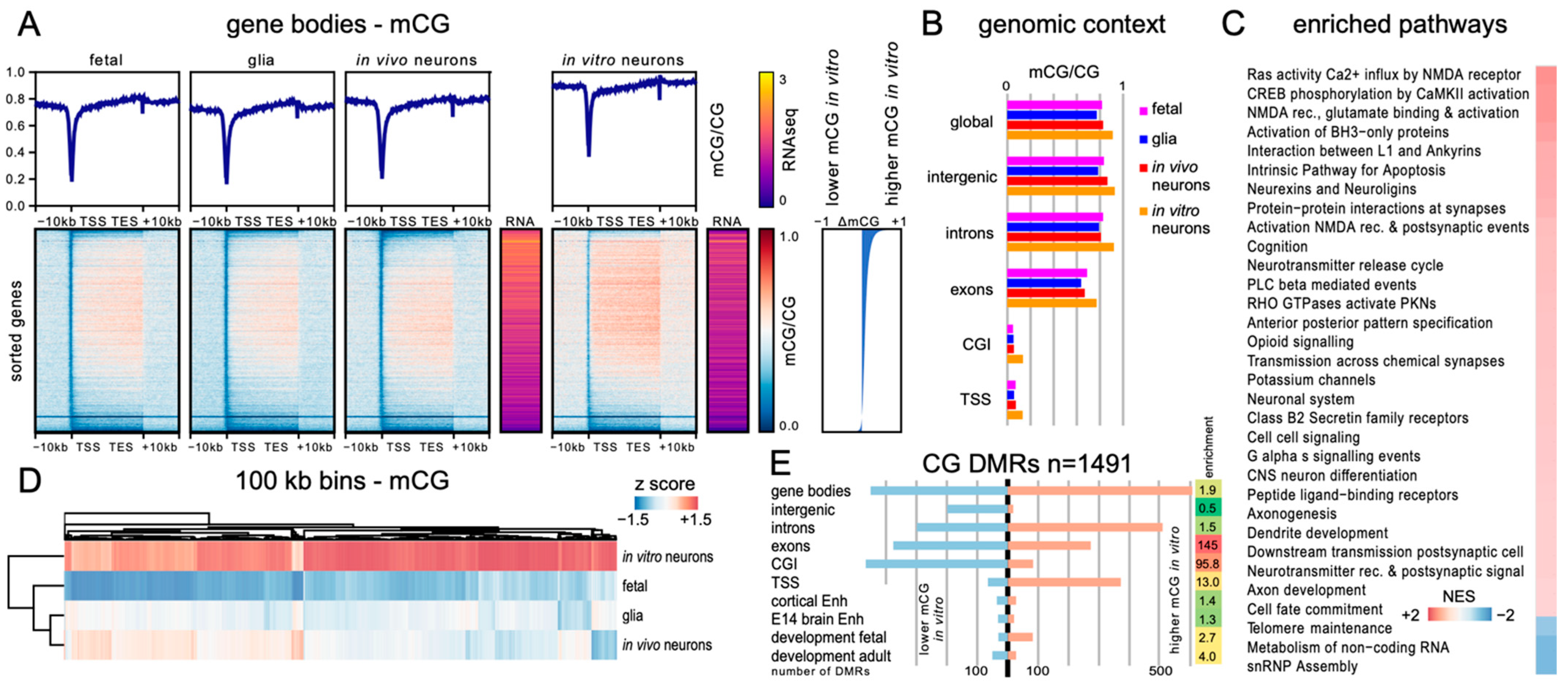 Invitrogen™ ERCC ExFold RNA Spike-In Mixes