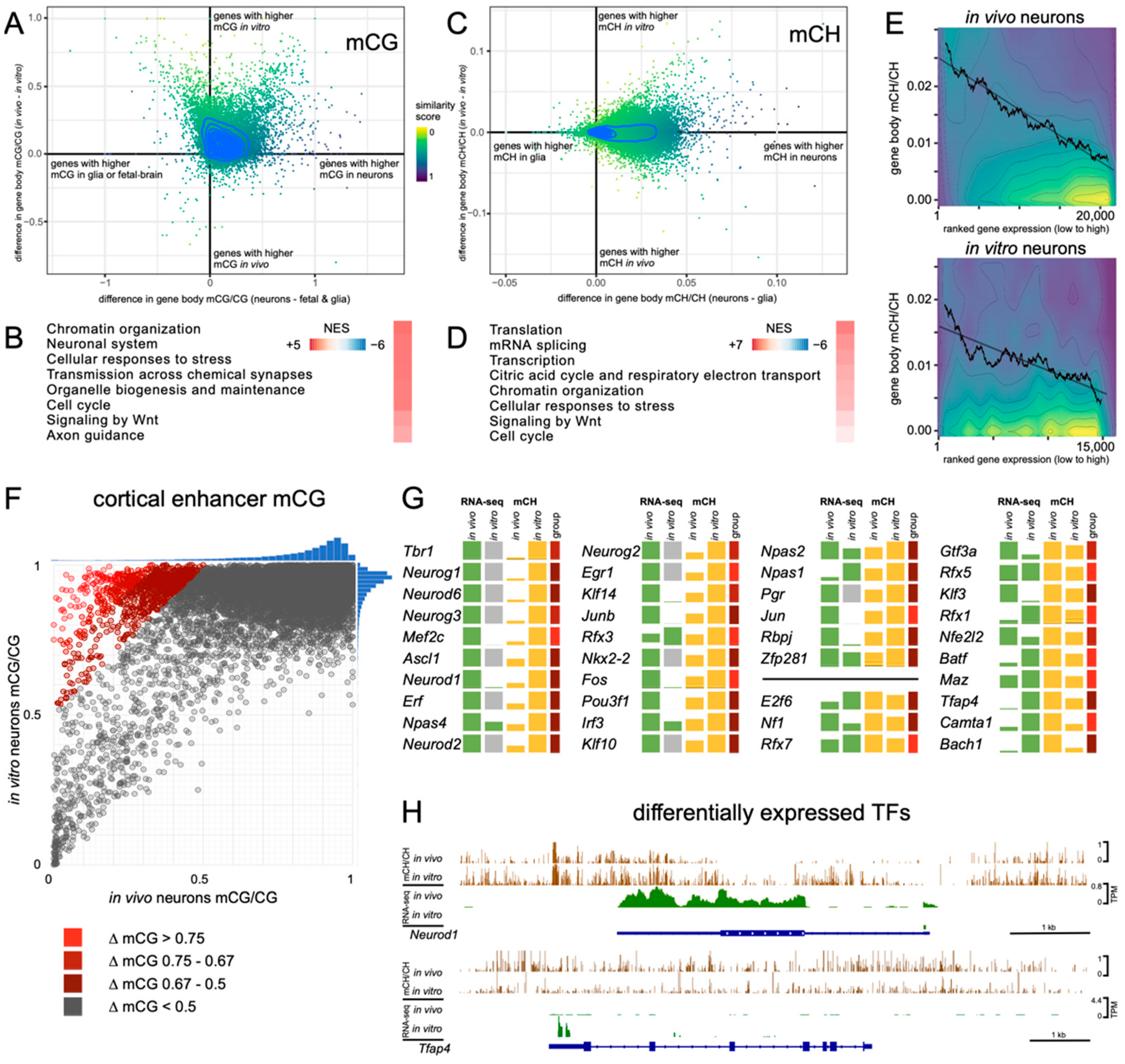 Genes 14 00957 g007 Genes 14 00957 g007