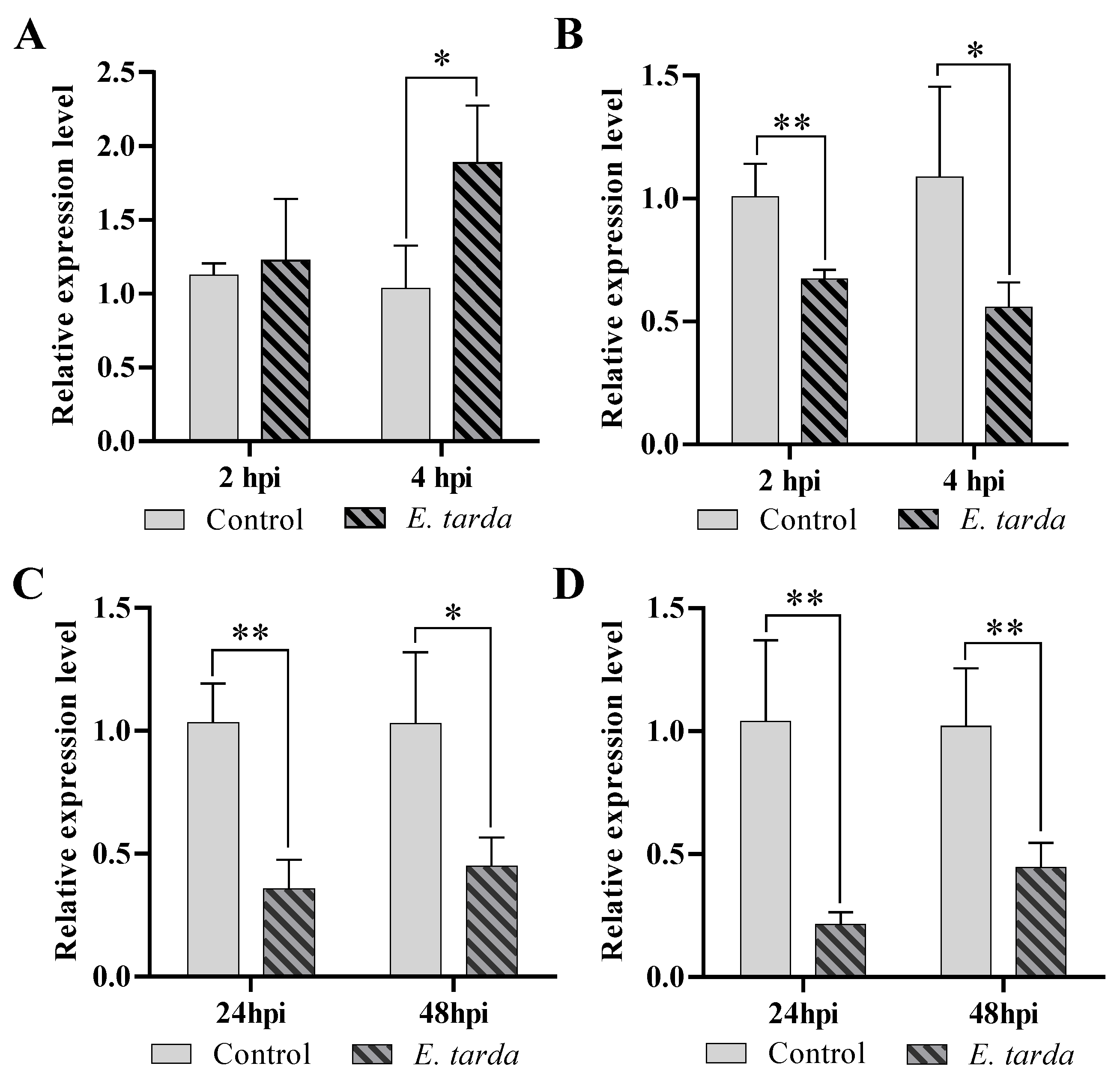Genes 14 00958 g001 Genes 14 00958 g001