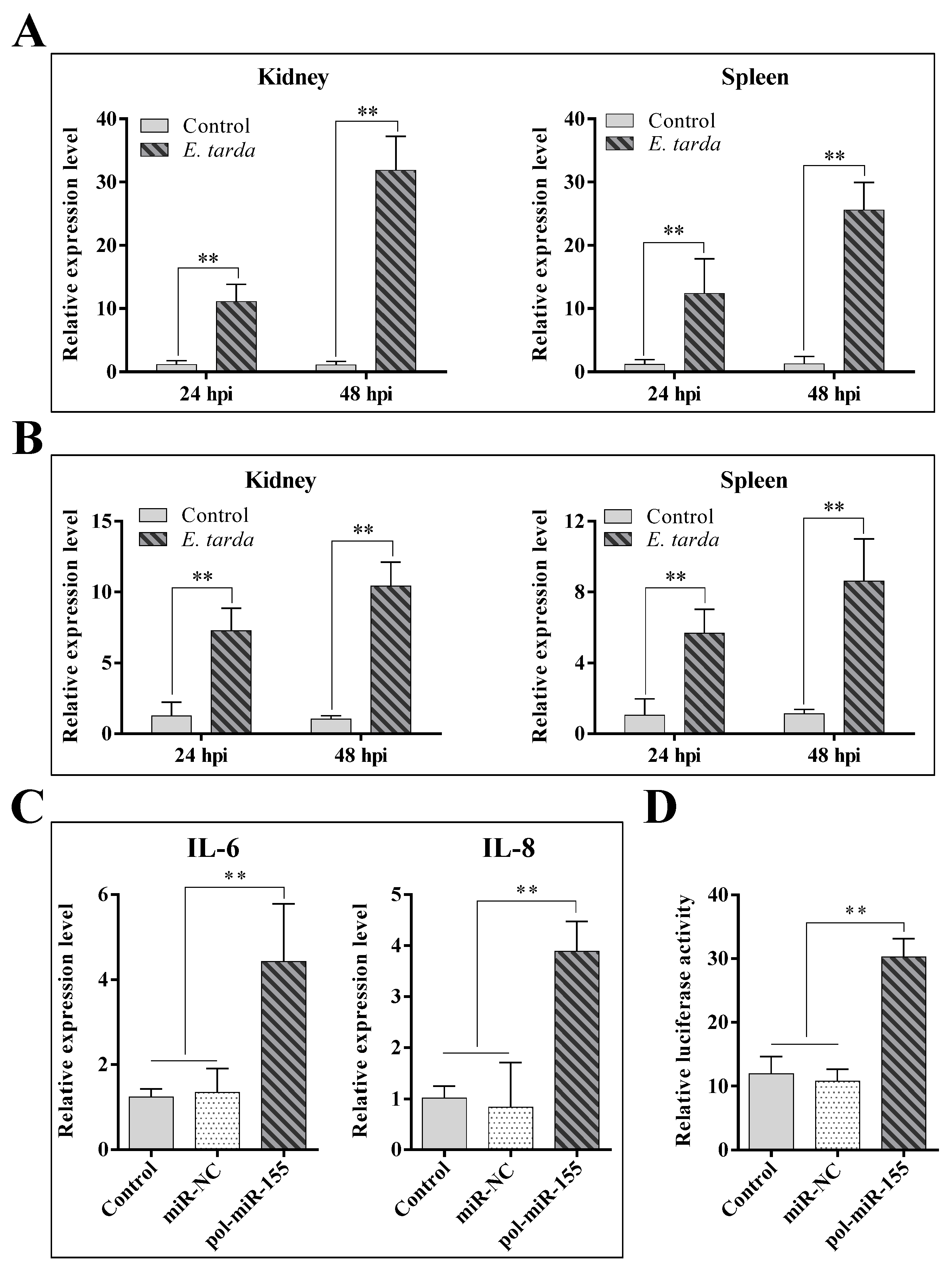 Genes 14 00958 g005 Genes 14 00958 g005