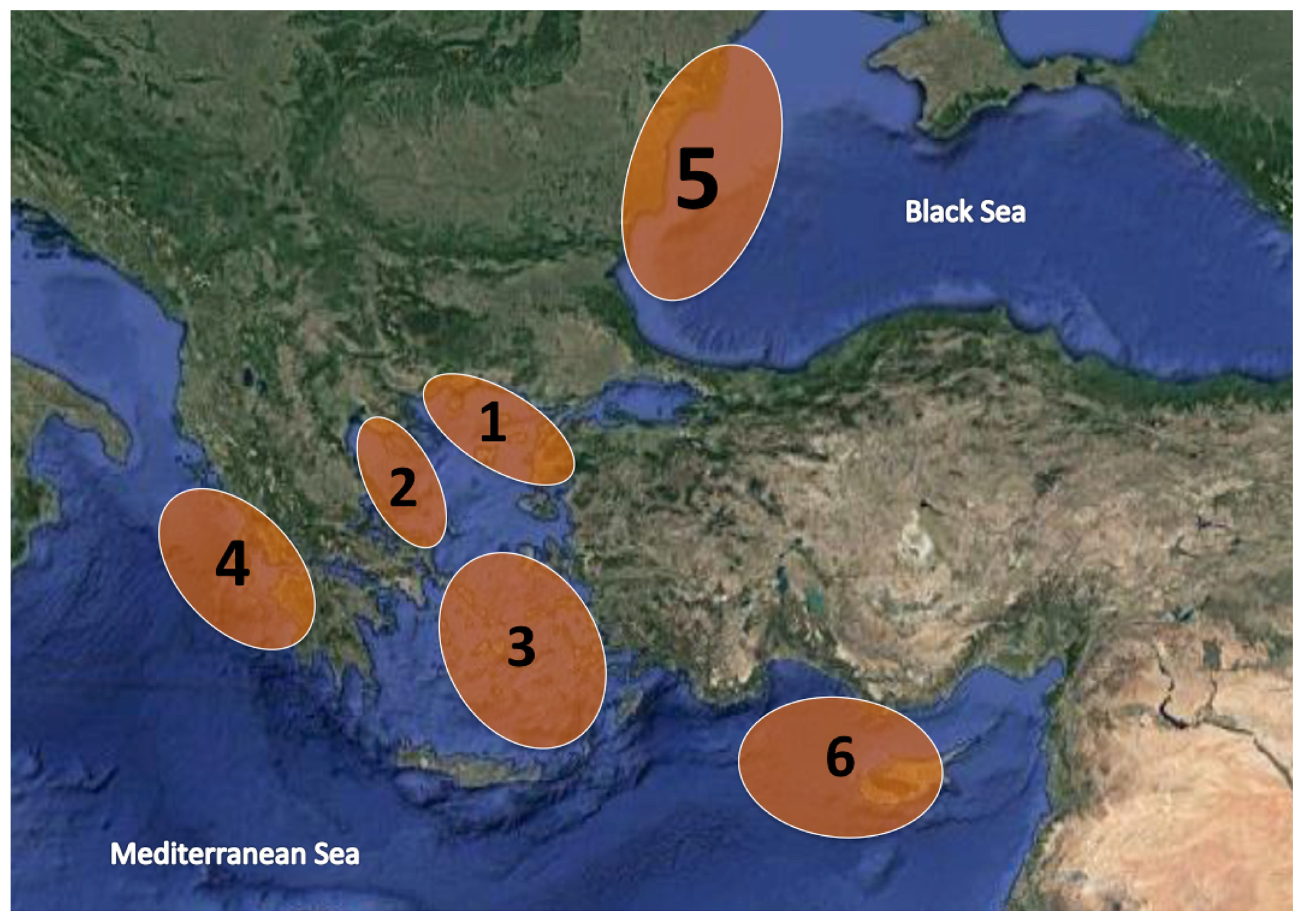 Genes 14 00960 g001 Genes 14 00960 g001