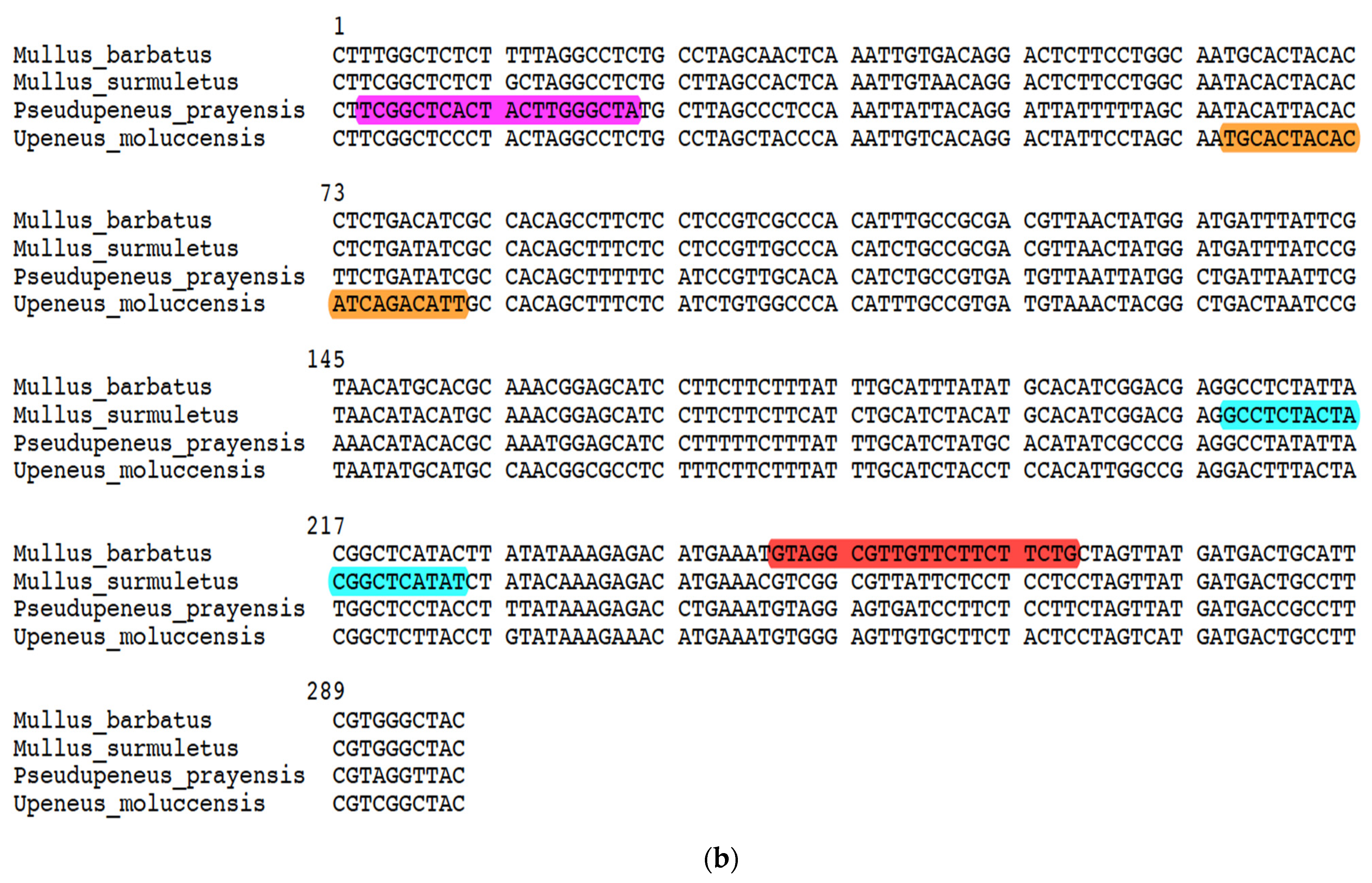 Genes 14 00960 g003b Genes 14 00960 g003b