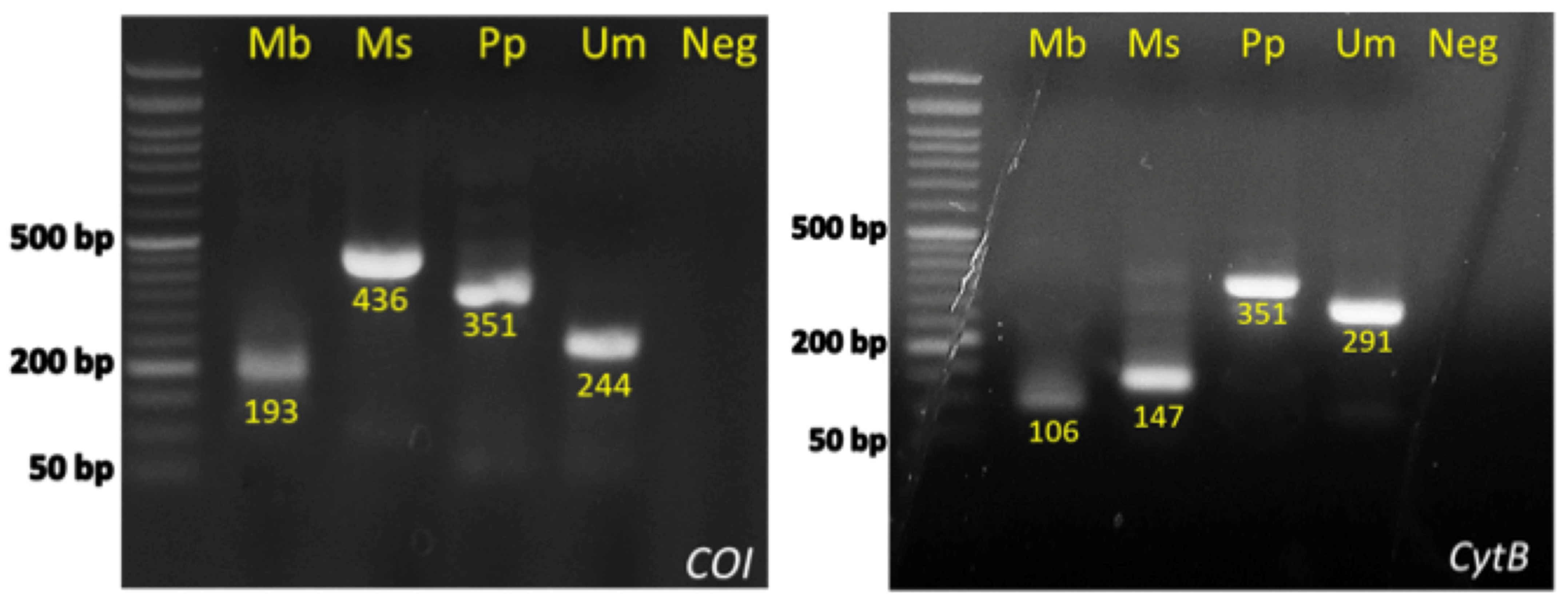 Genes 14 00960 g004 Genes 14 00960 g004
