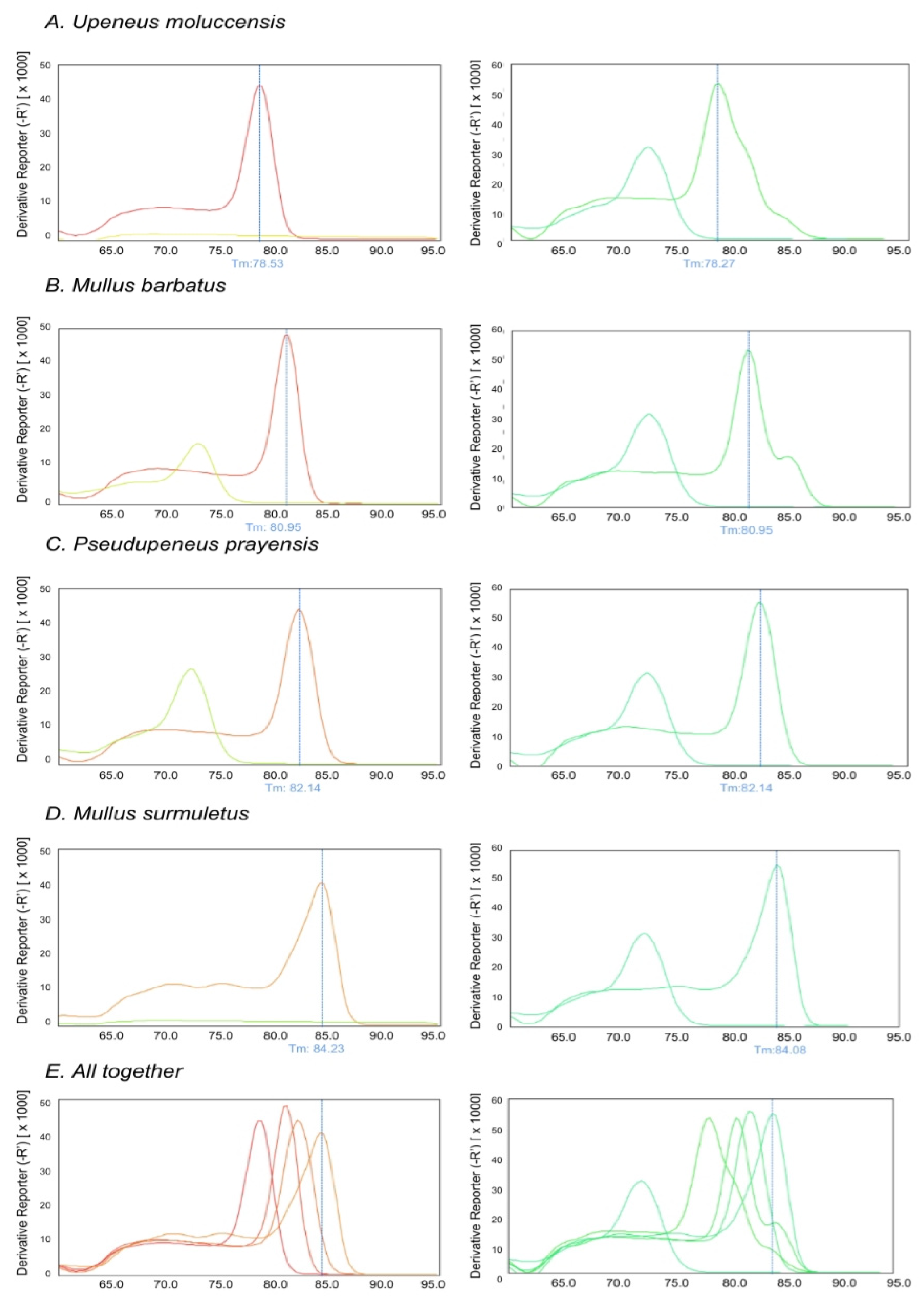 Genes 14 00960 g005 Genes 14 00960 g005