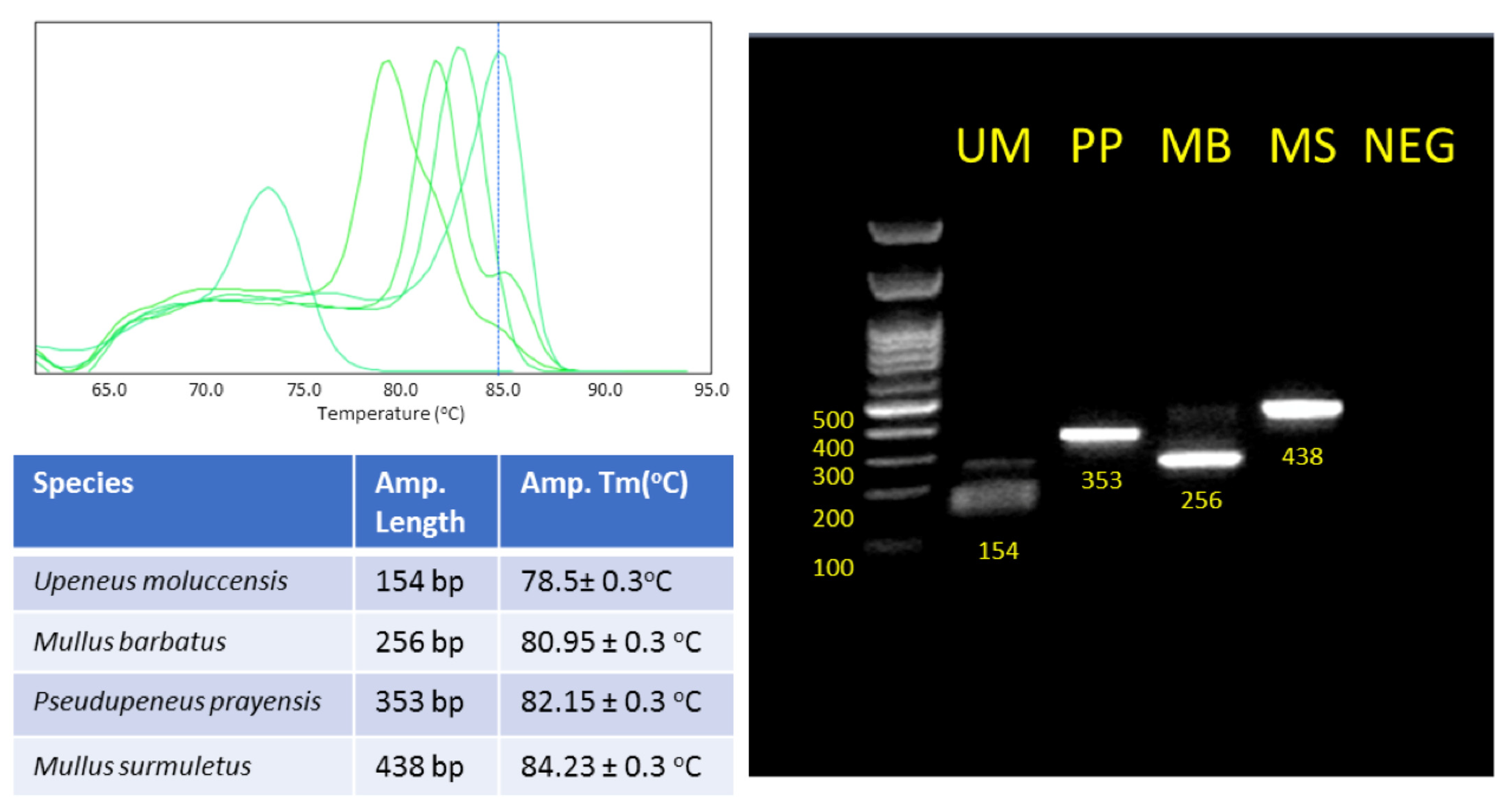 Genes 14 00960 g006 Genes 14 00960 g006