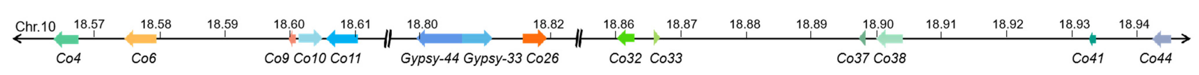 Genes 14 00964 g001 Genes 14 00964 g001