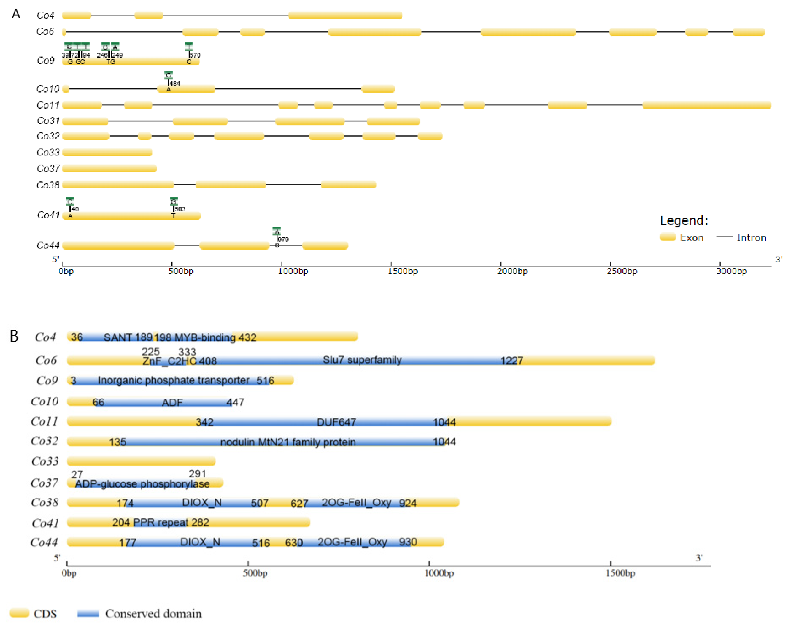Genes 14 00964 g002 Genes 14 00964 g002