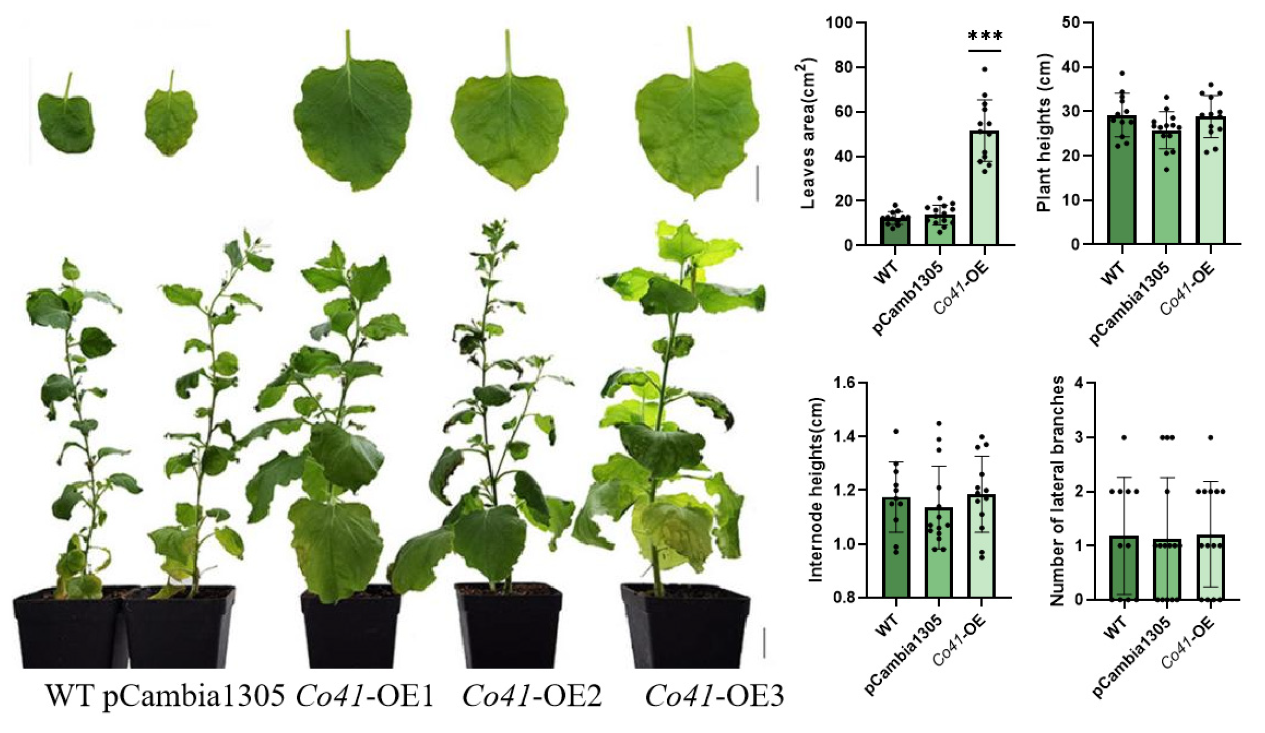 Genes 14 00964 g005 Genes 14 00964 g005