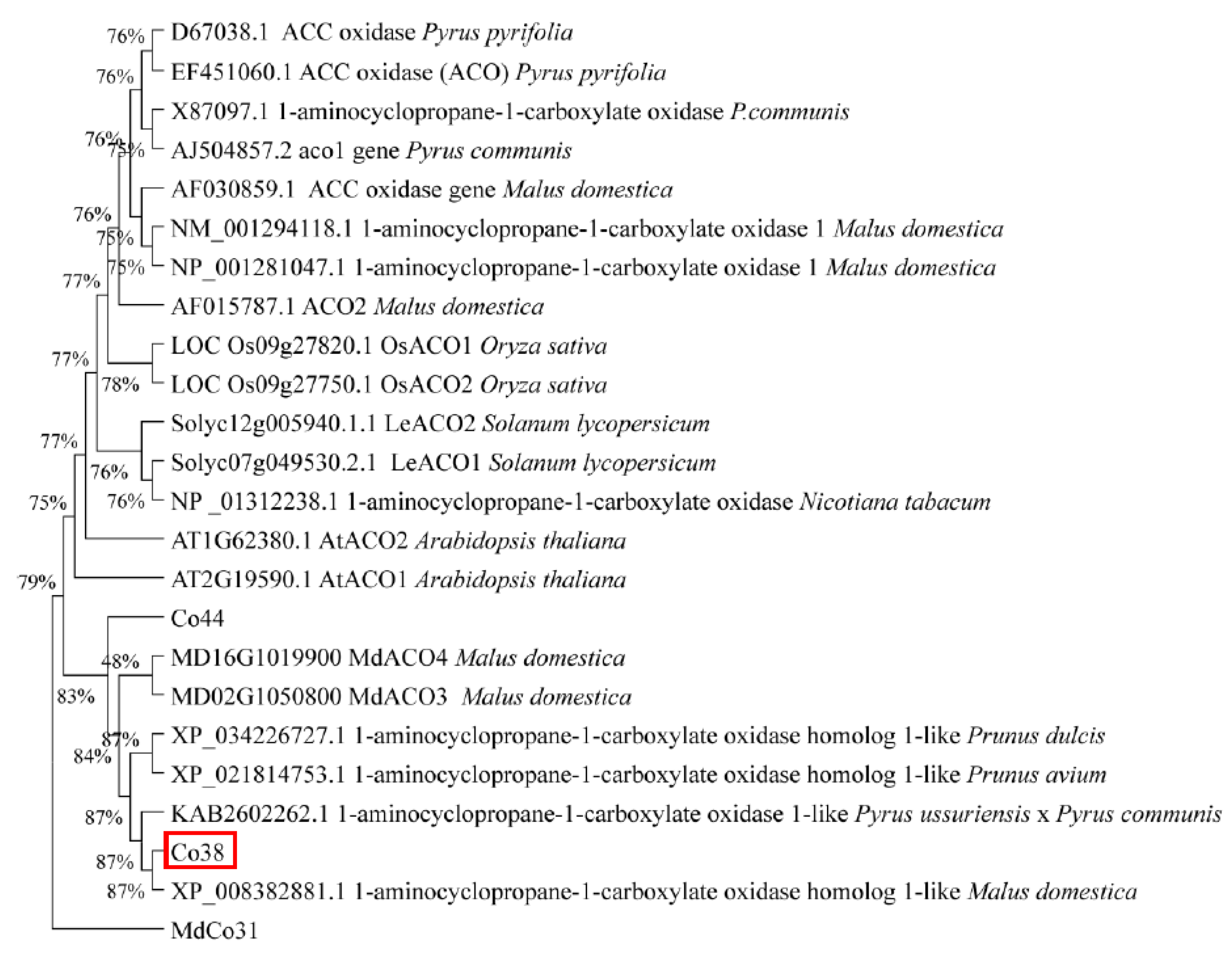 Genes 14 00964 g006 Genes 14 00964 g006