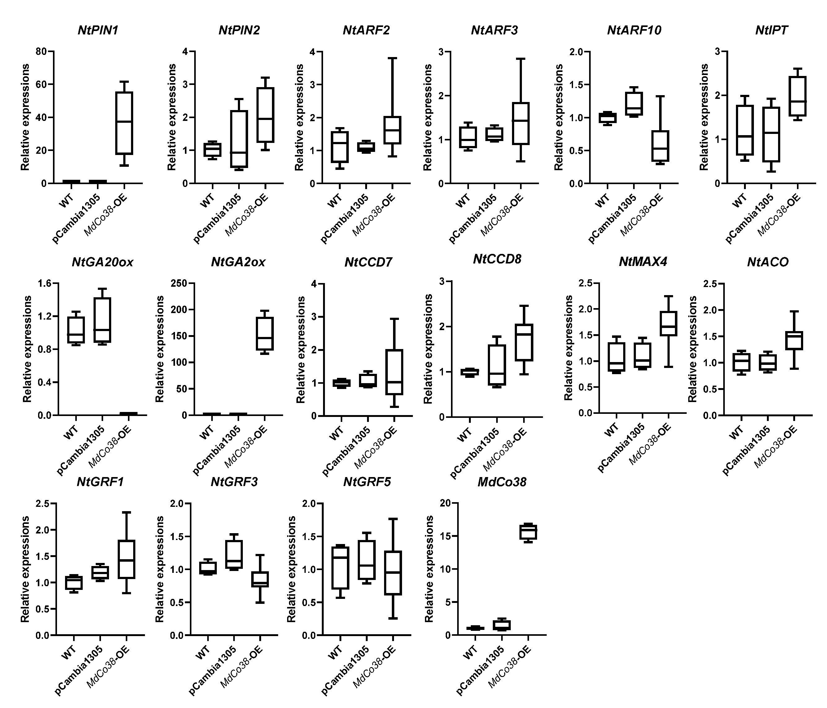 Genes 14 00964 g007 Genes 14 00964 g007
