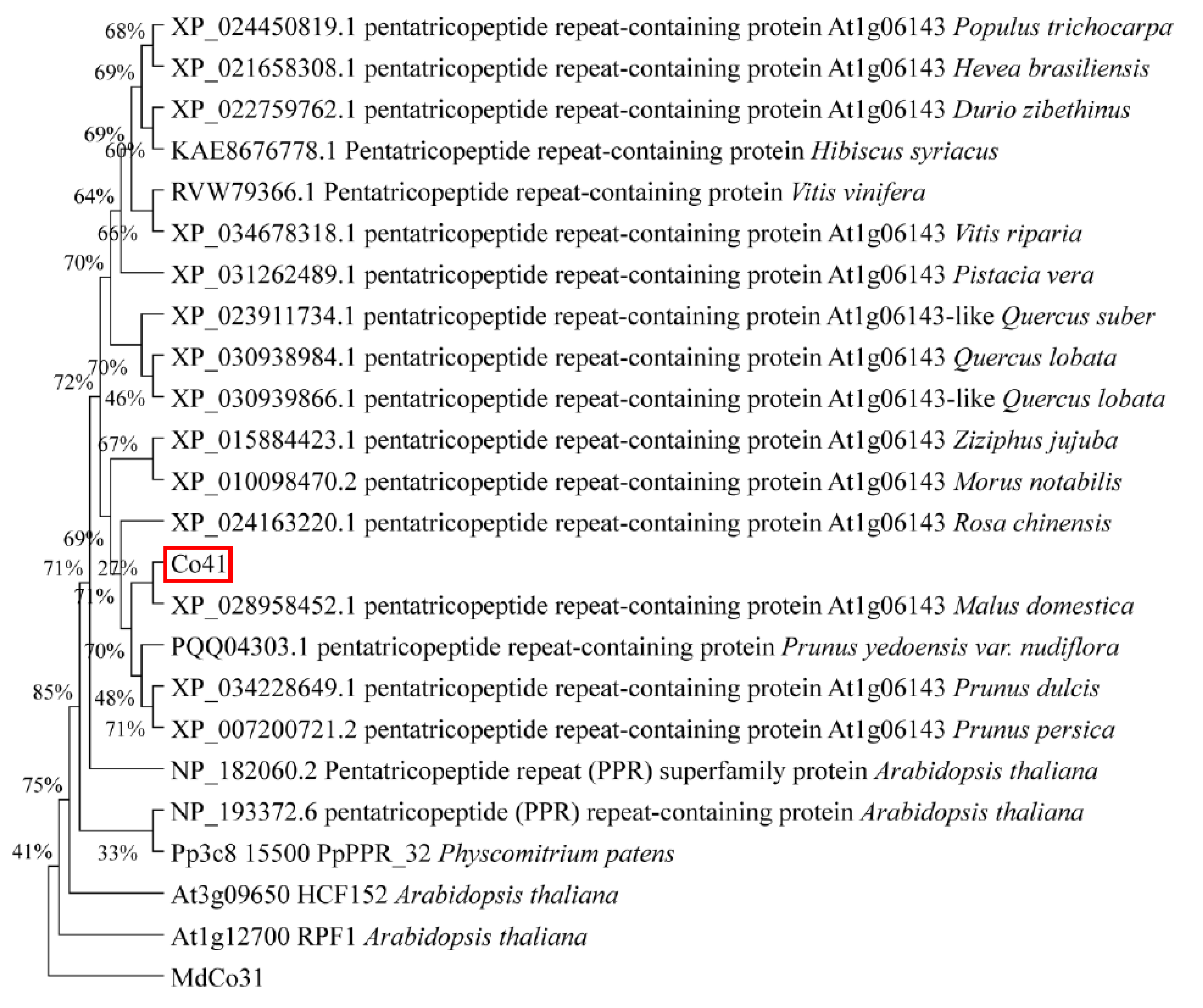 Genes 14 00964 g008 Genes 14 00964 g008