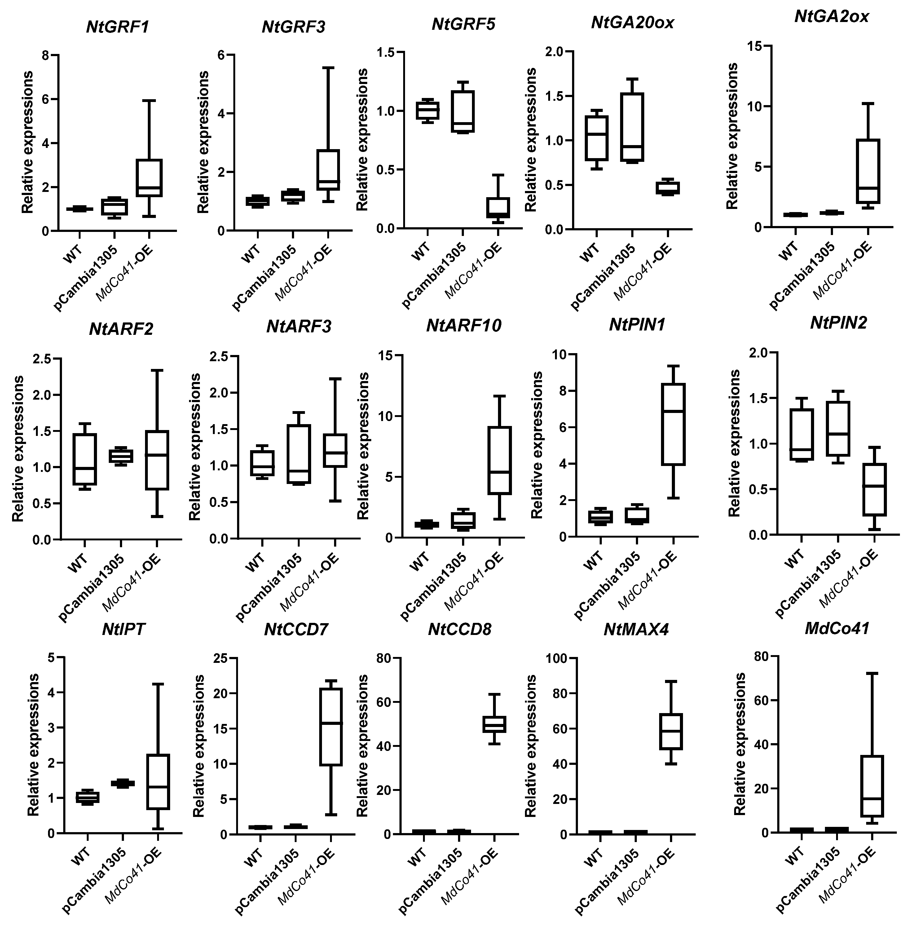 Genes 14 00964 g009 Genes 14 00964 g009
