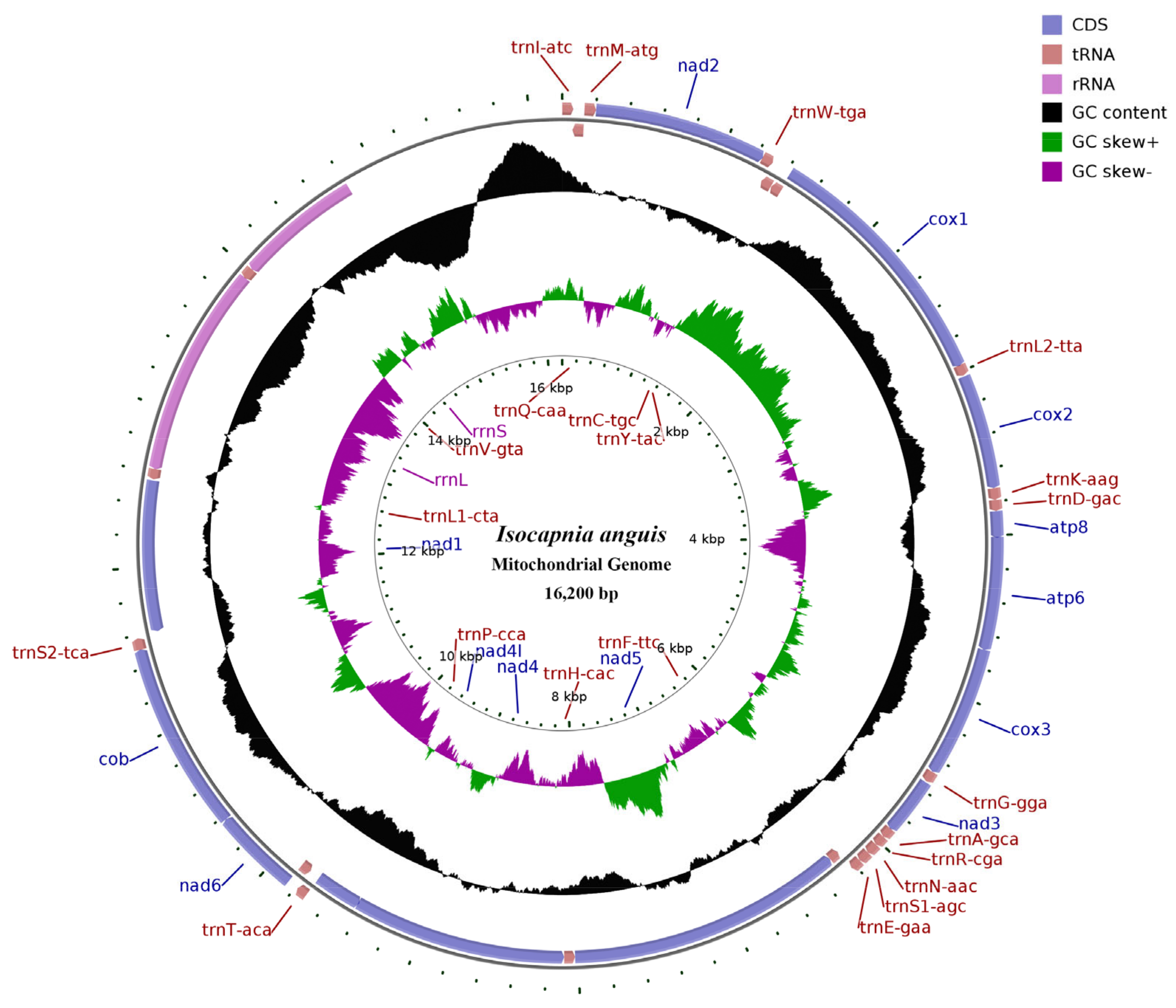 Genes 14 00965 g001 Genes 14 00965 g001