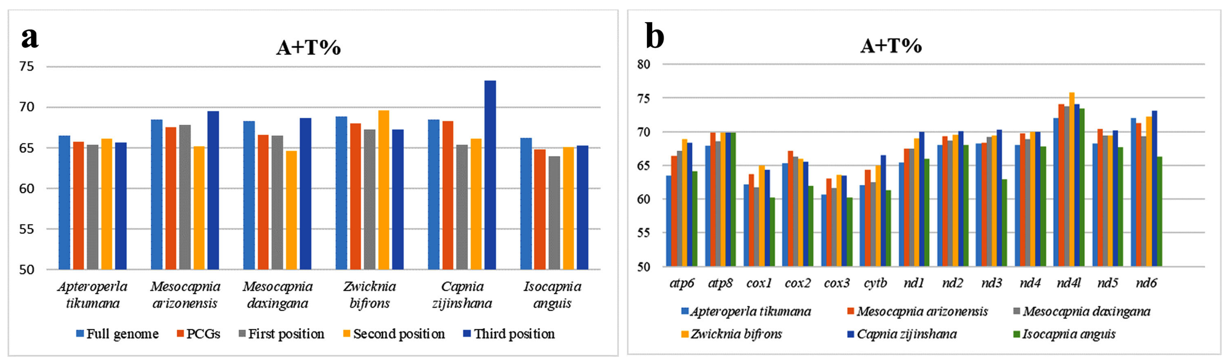 Genes 14 00965 g002 Genes 14 00965 g002