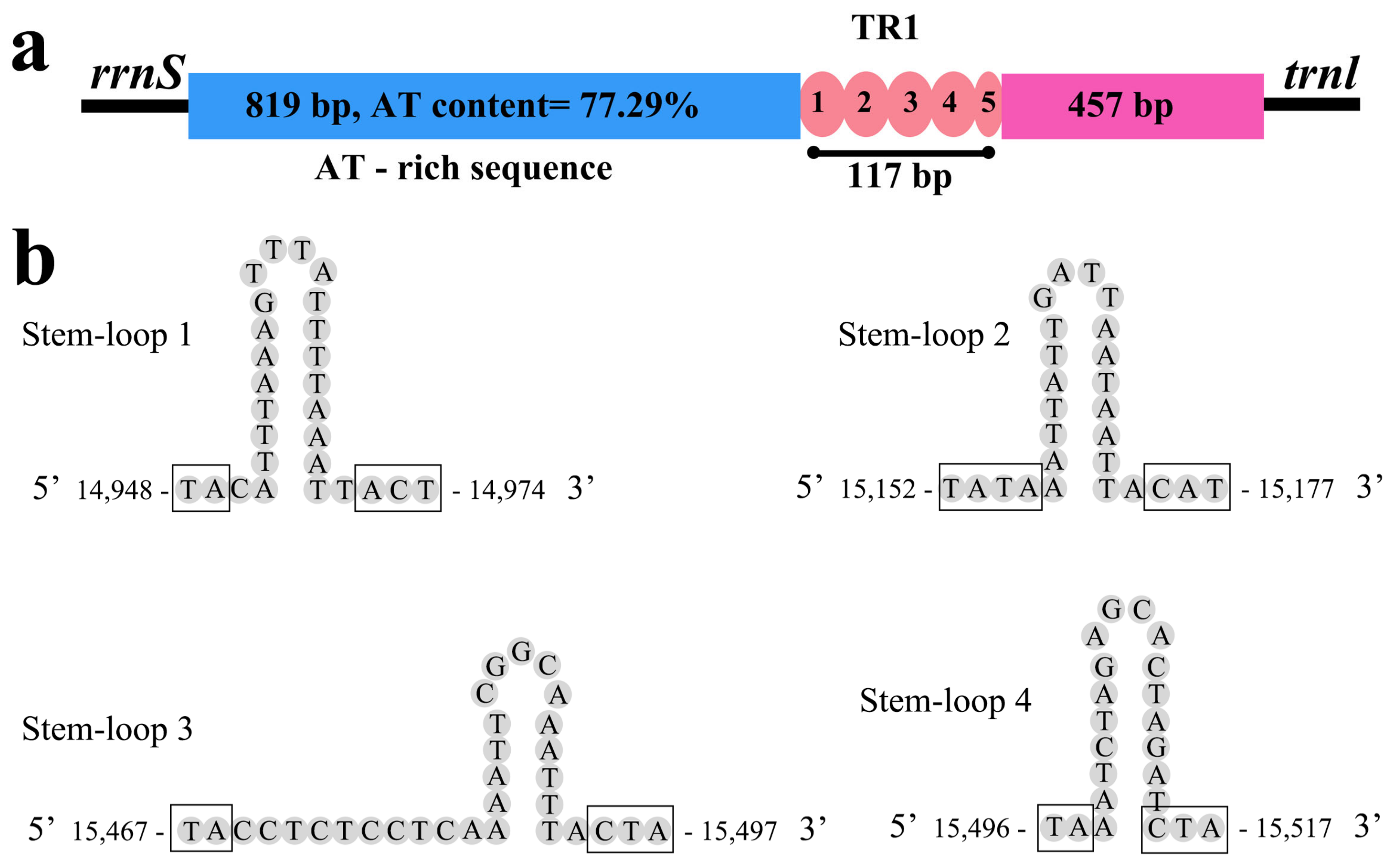 Genes 14 00965 g005 Genes 14 00965 g005