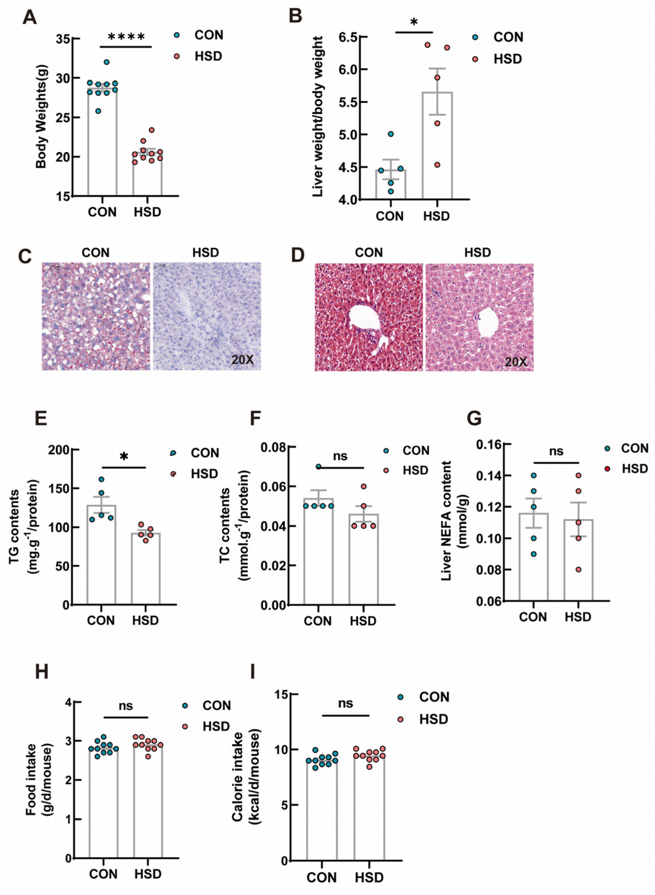 Genes 14 00966 g001 Genes 14 00966 g001