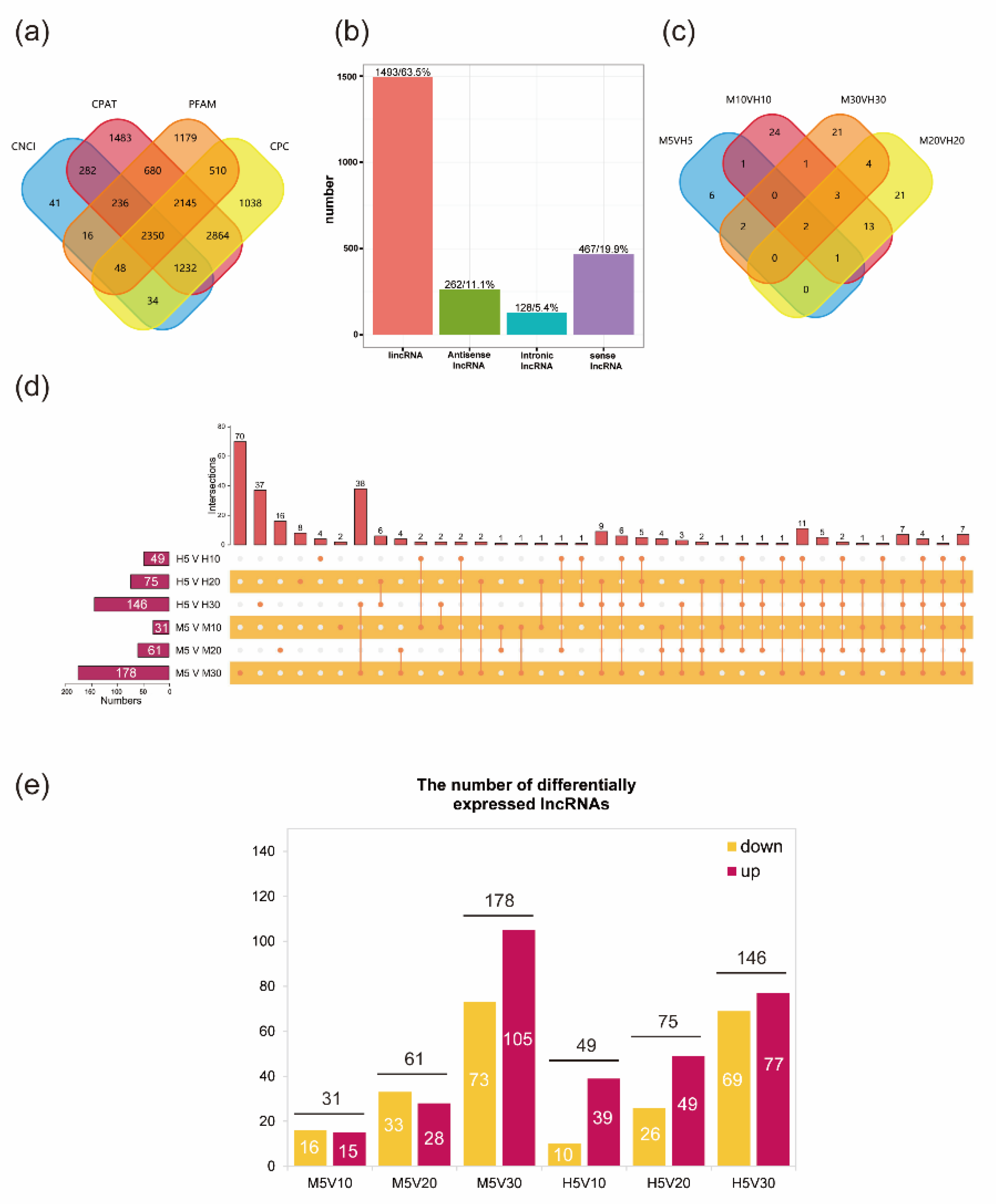 Genes 14 00967 g002