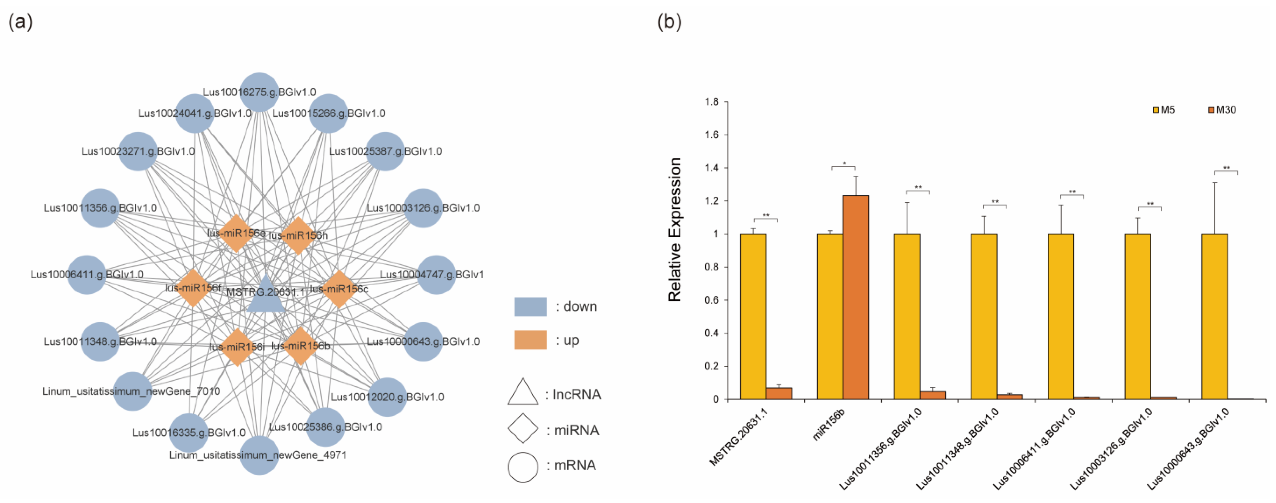 Genes 14 00967 g004