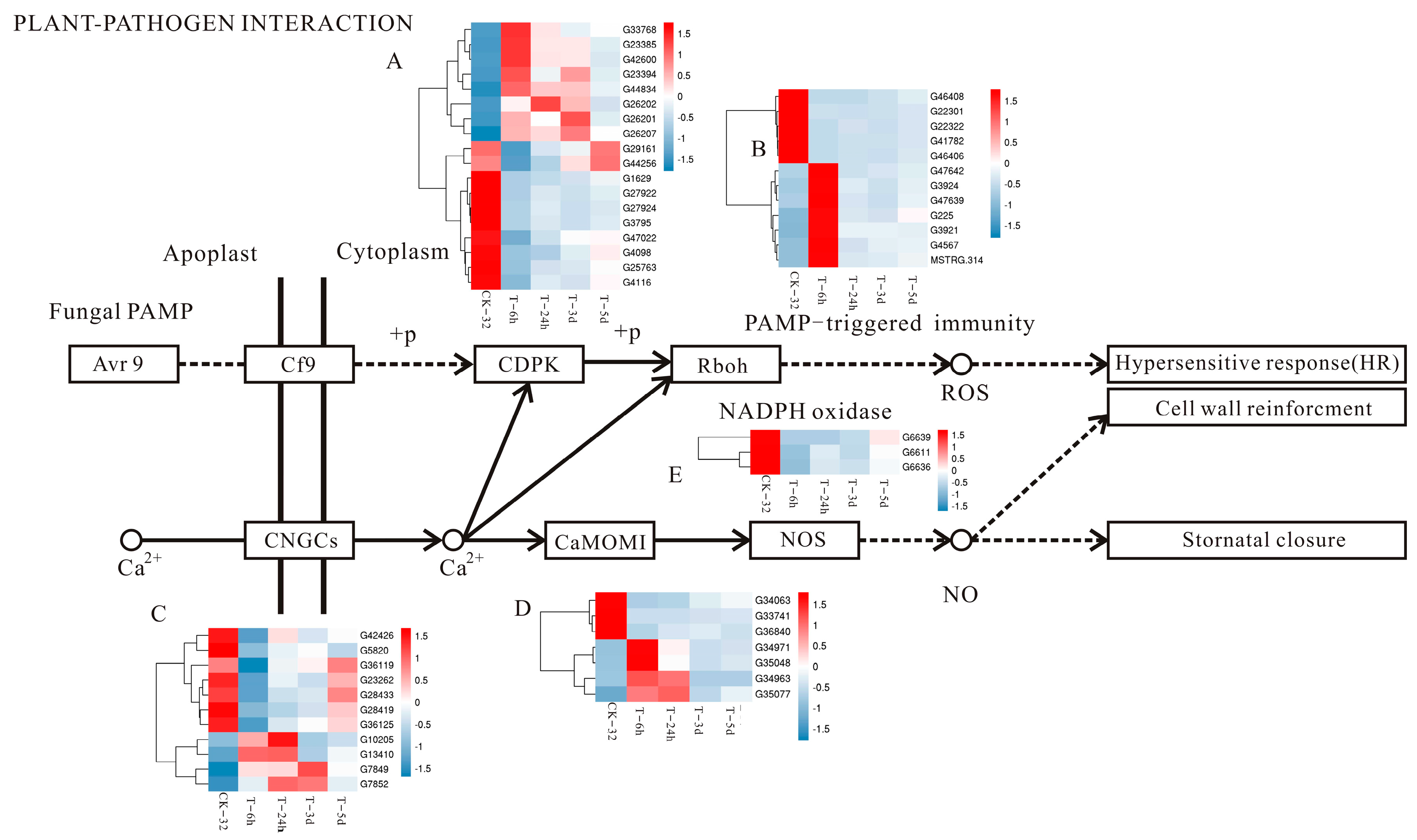 Genes 14 00969 g004 Genes 14 00969 g004