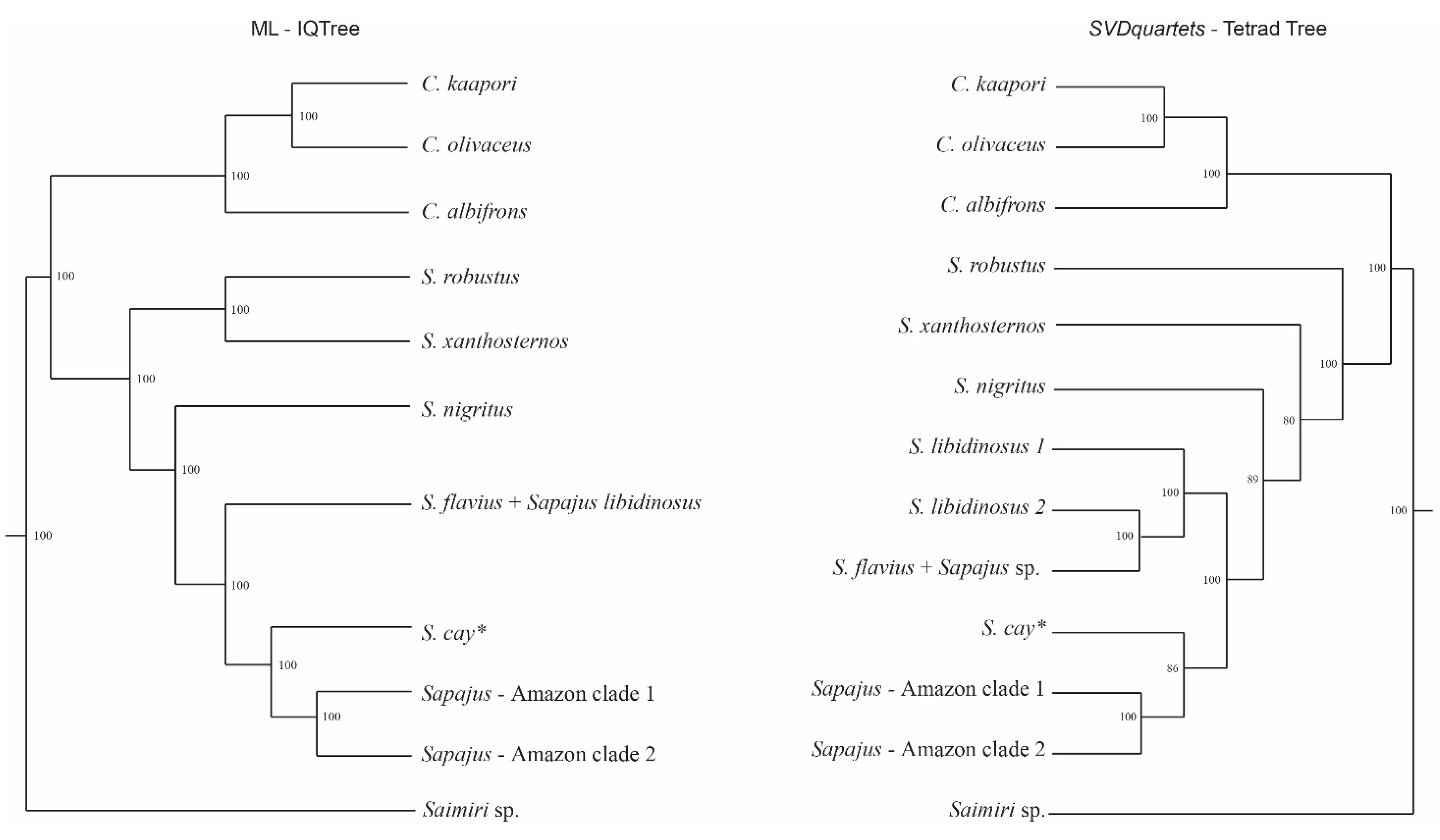 Genes 14 00970 g004 Genes 14 00970 g004