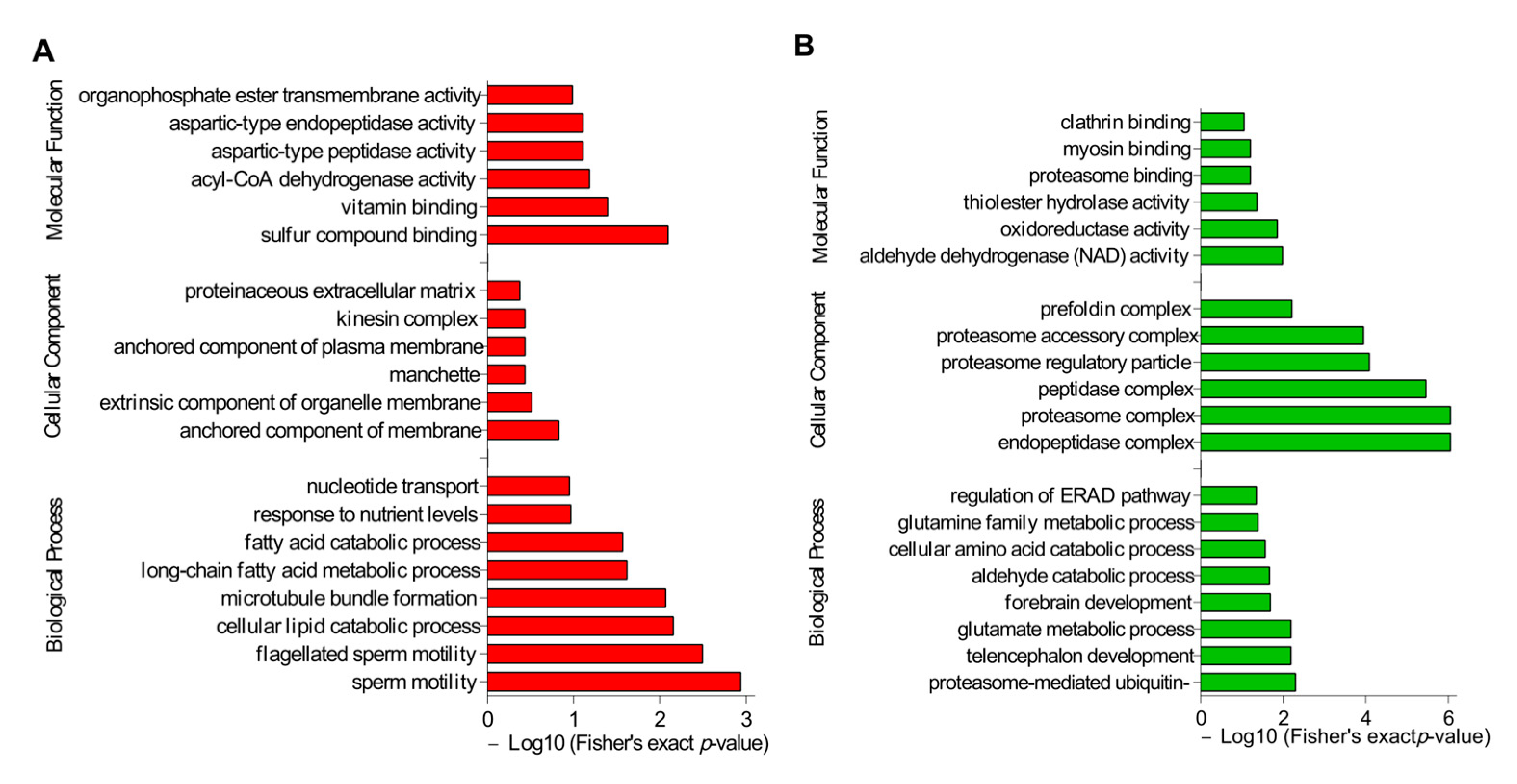 Genes 14 00973 g005 Genes 14 00973 g005