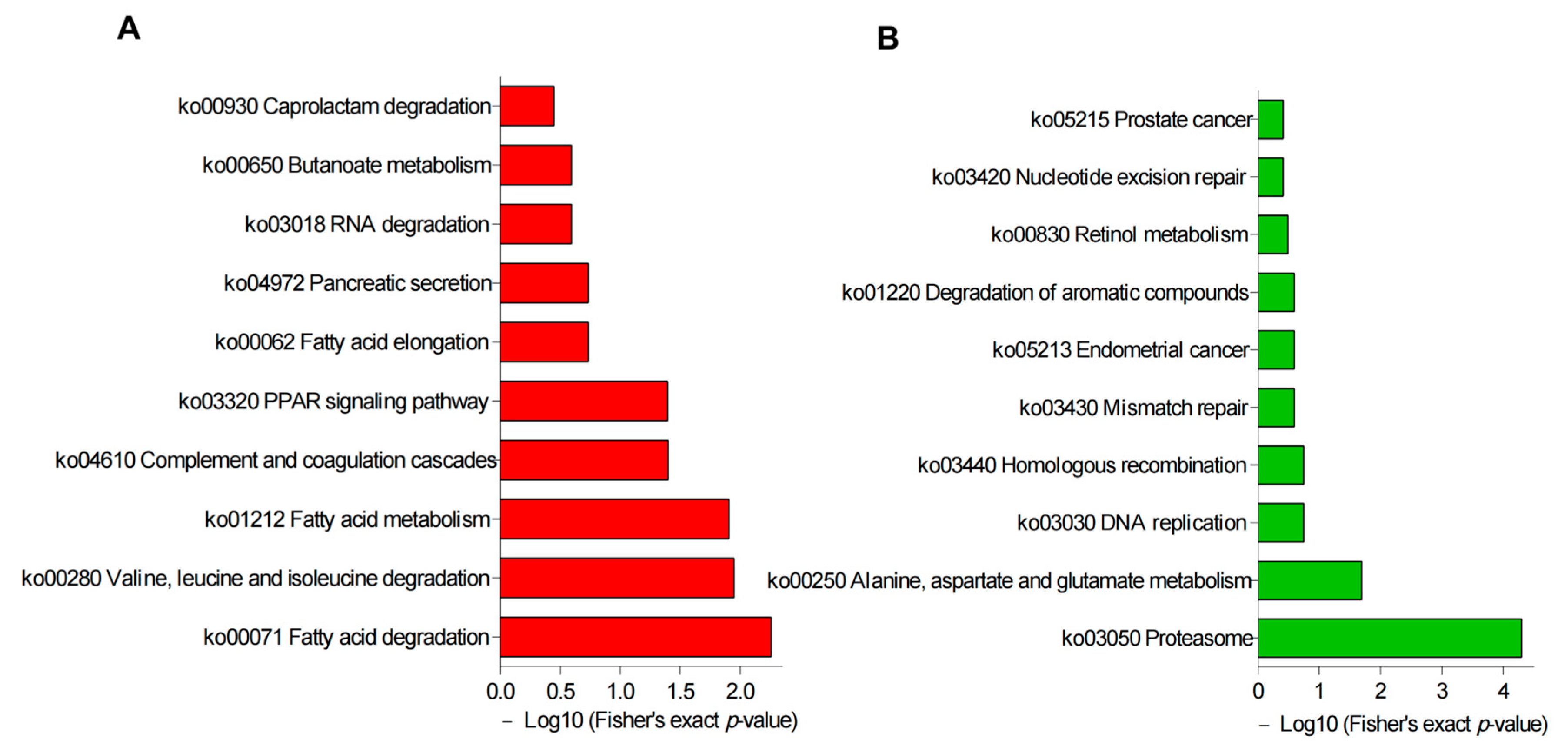 Genes 14 00973 g006 Genes 14 00973 g006