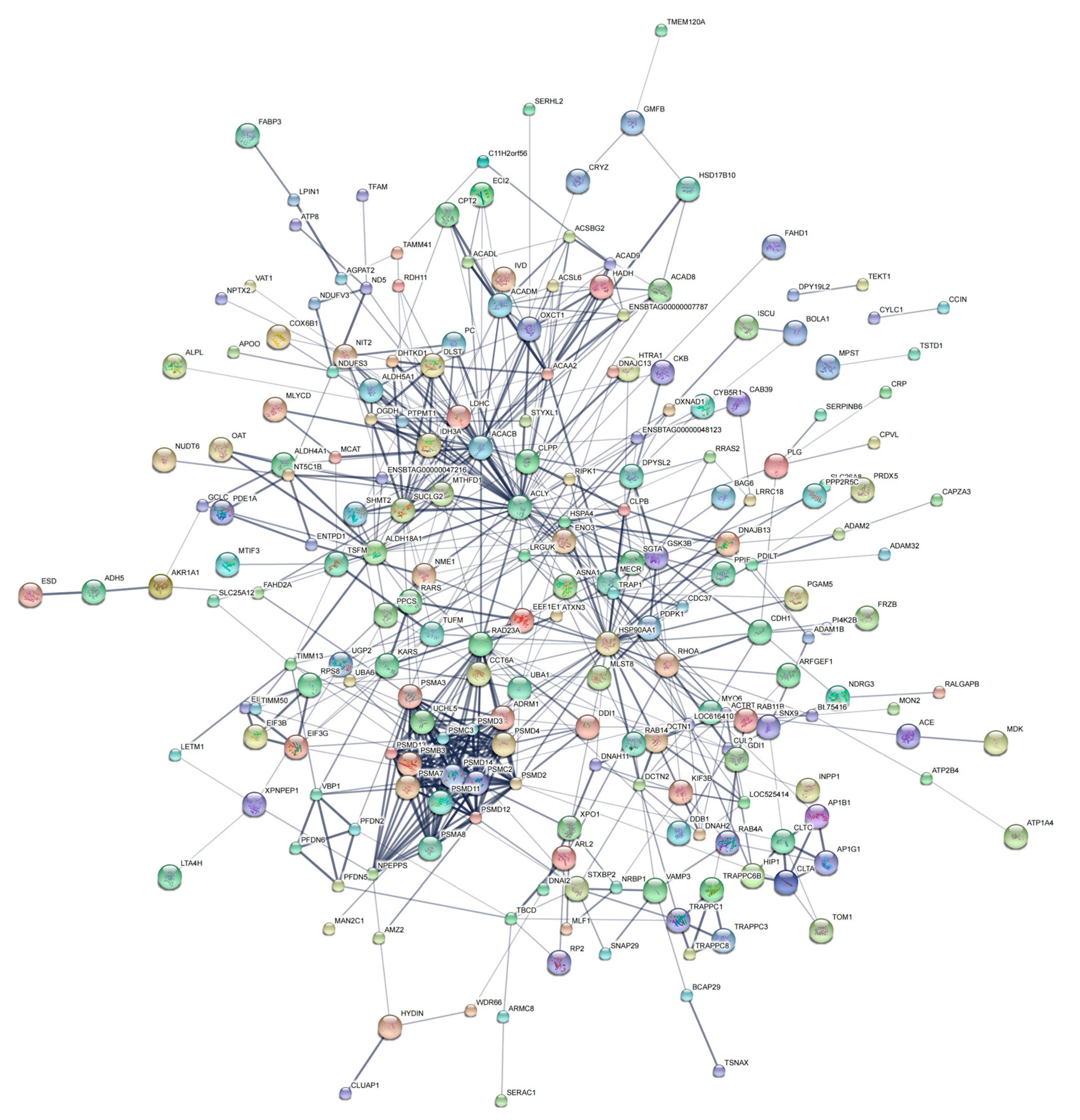 Genes 14 00973 g007 Genes 14 00973 g007